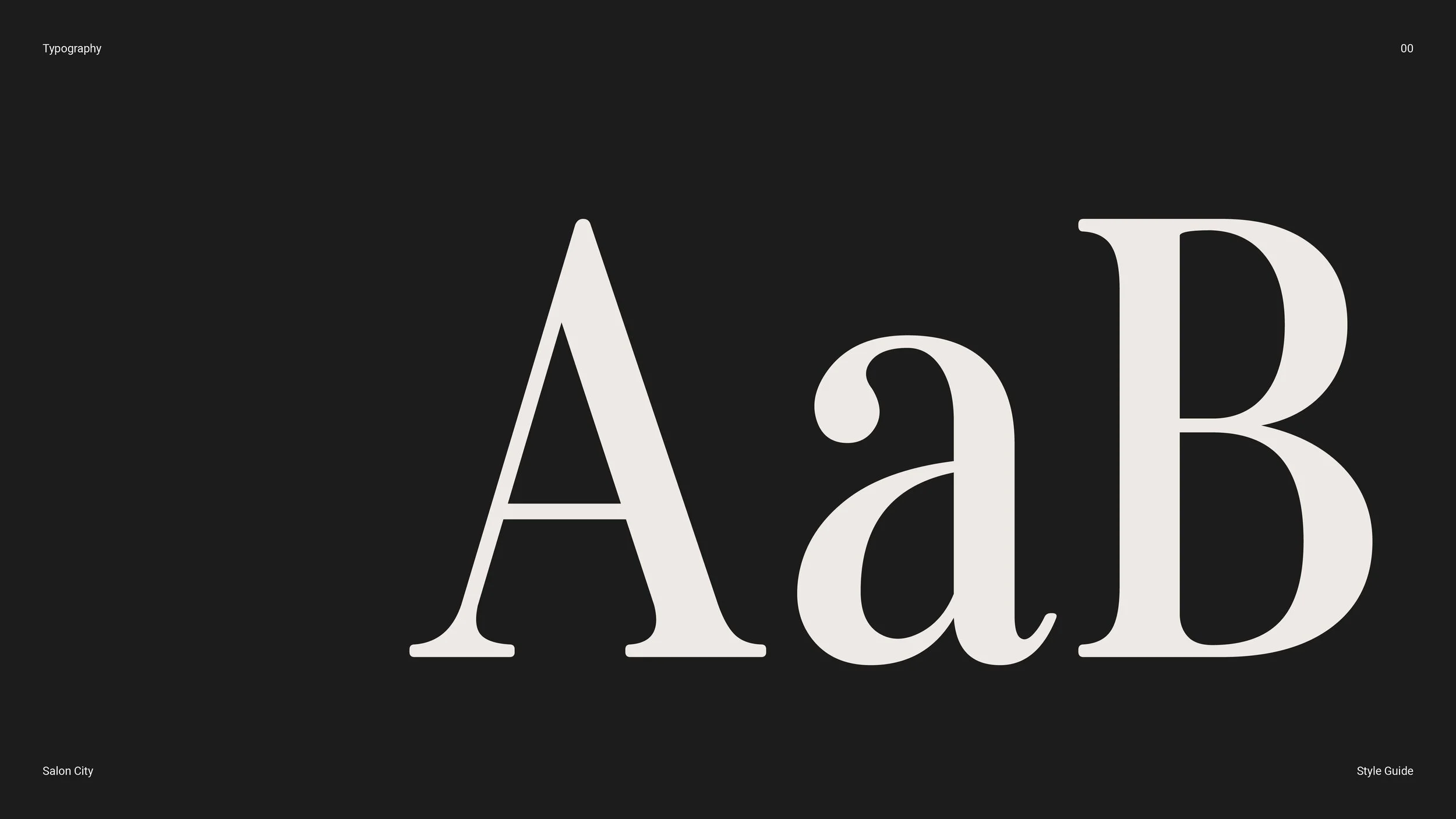 Salon City Style Guide_V1_SF_Web Banner 1- 2560 x 1440px copy 8.jpg