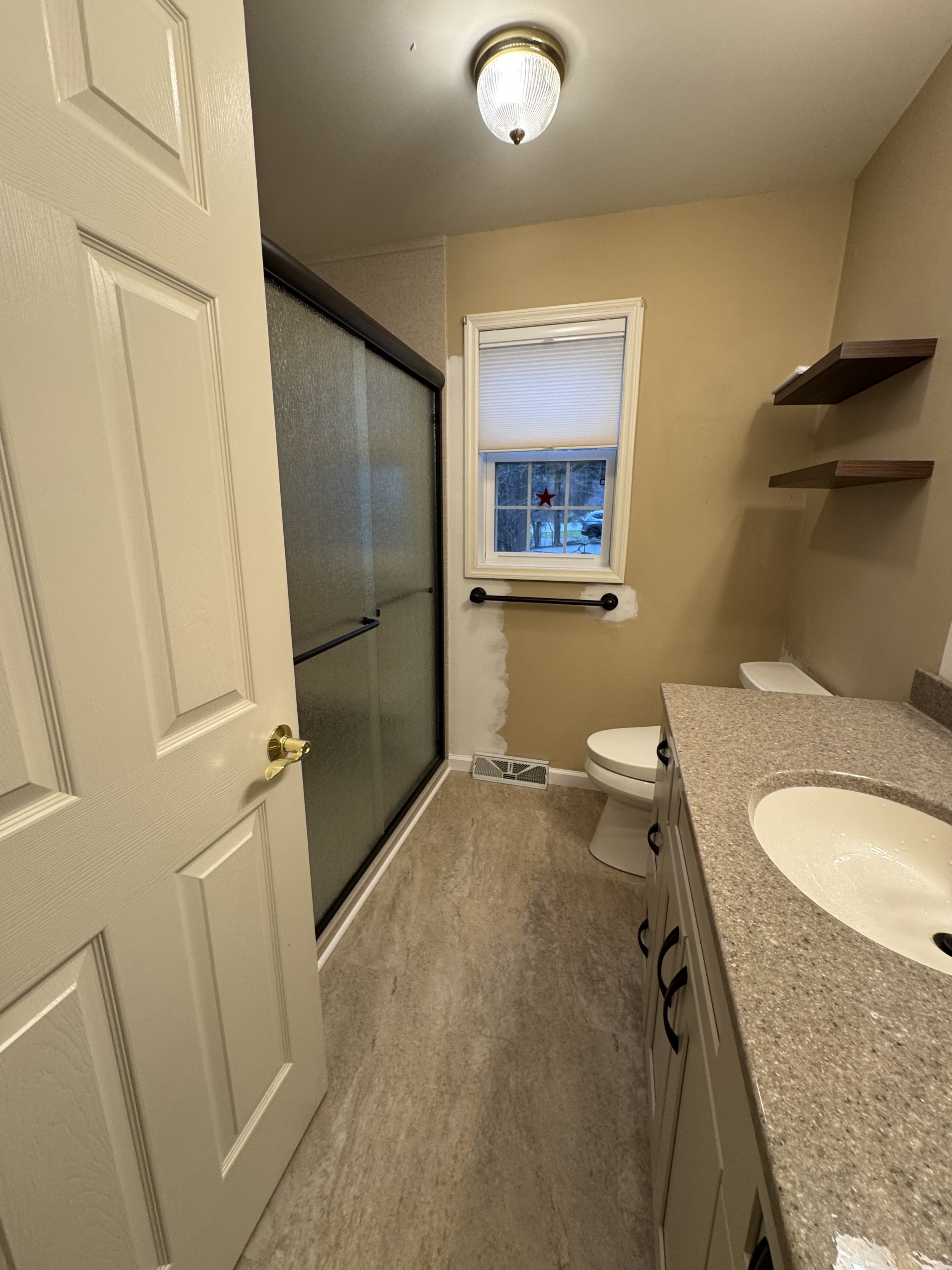 Bathroom Remodel - Winter 2025 - Vanity, Lighting, Medicine Cabinet, Washlet Toilet