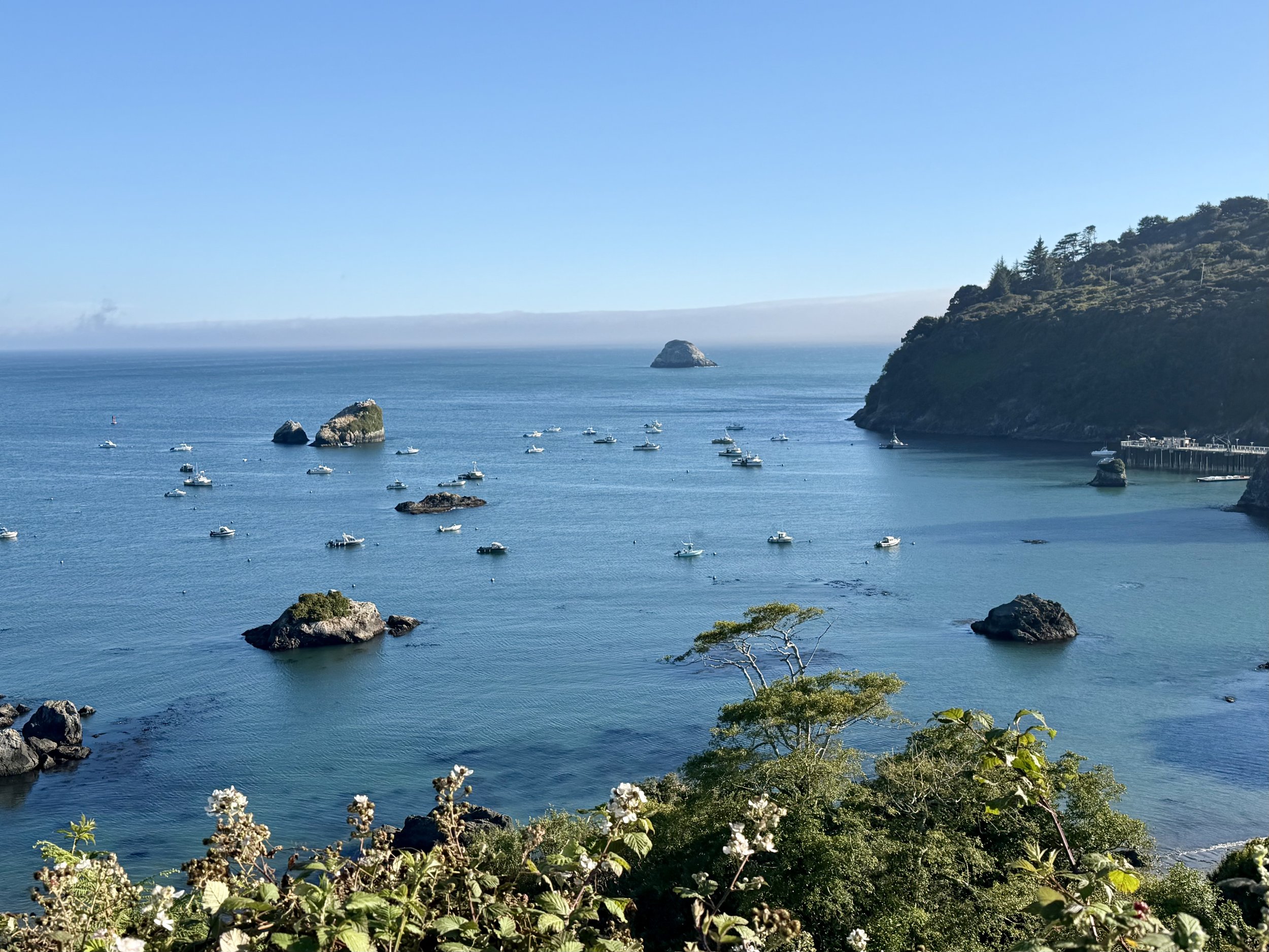 Trinidad Bay, with Trinidad Head and Trinidad Pier at right