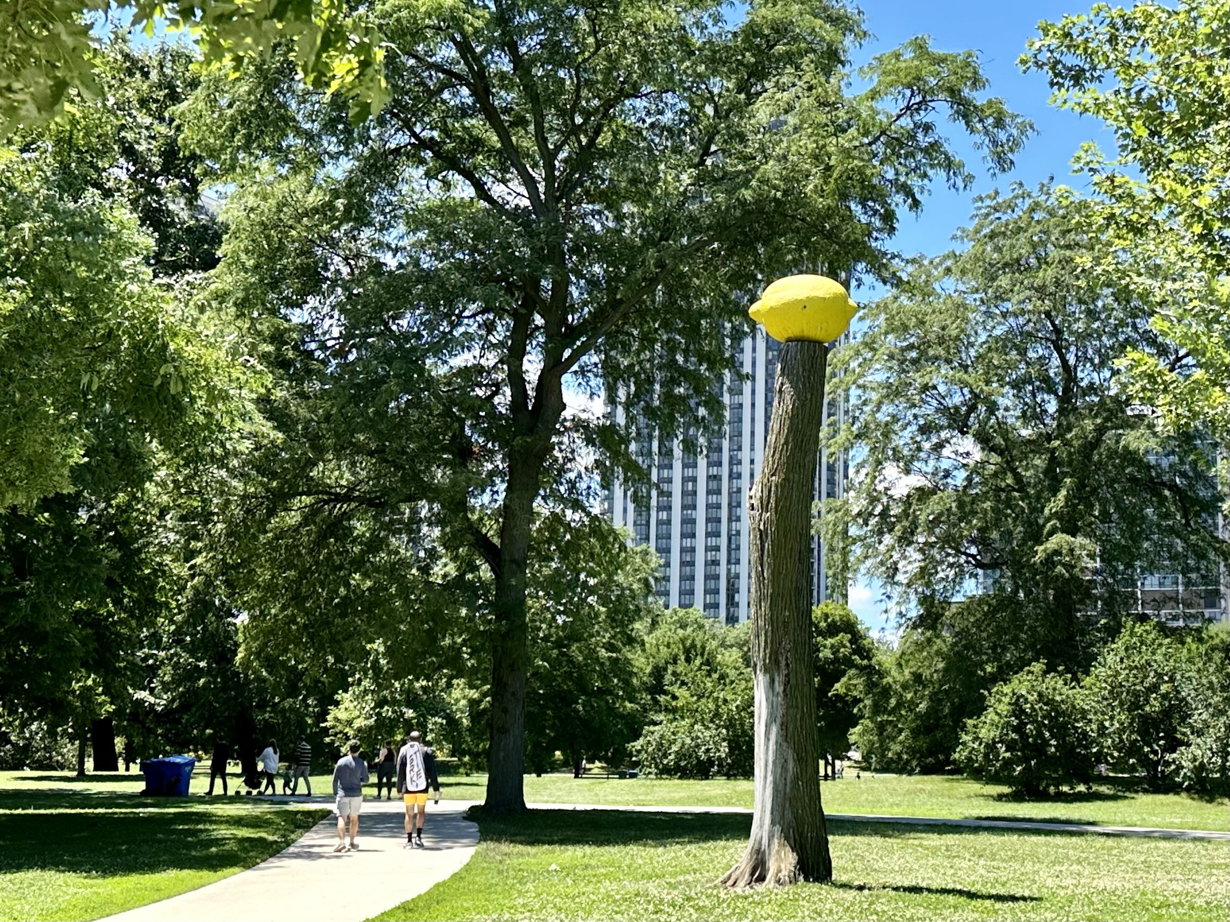 Lemon Tree