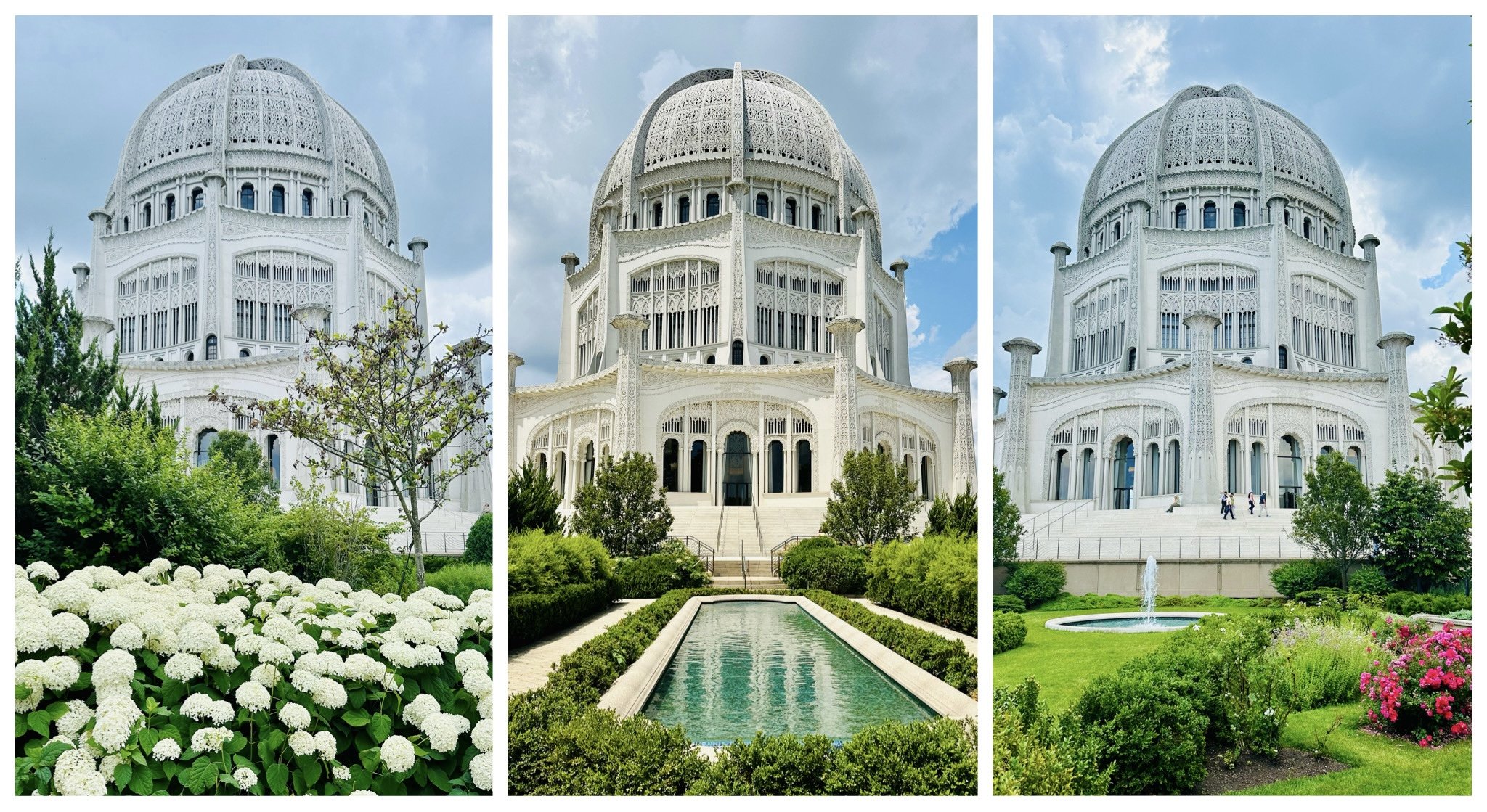 Different gardens and different angles