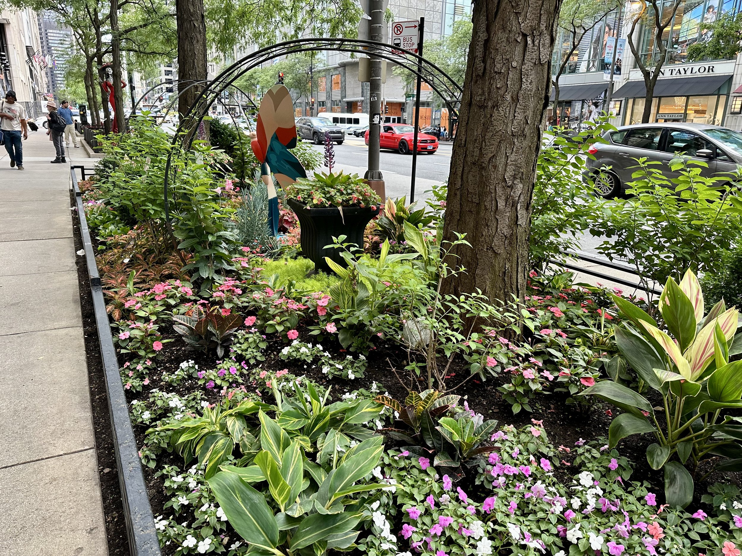 Michigan Avenue sidewalk garden