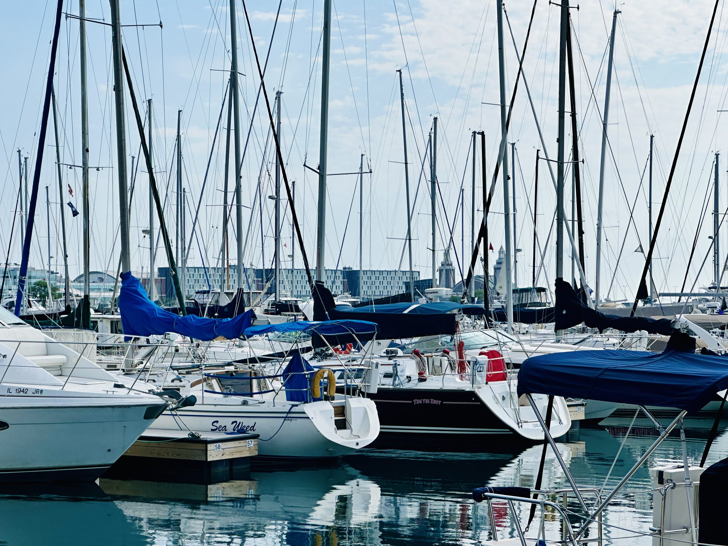 Chicago Yacht Club Marina