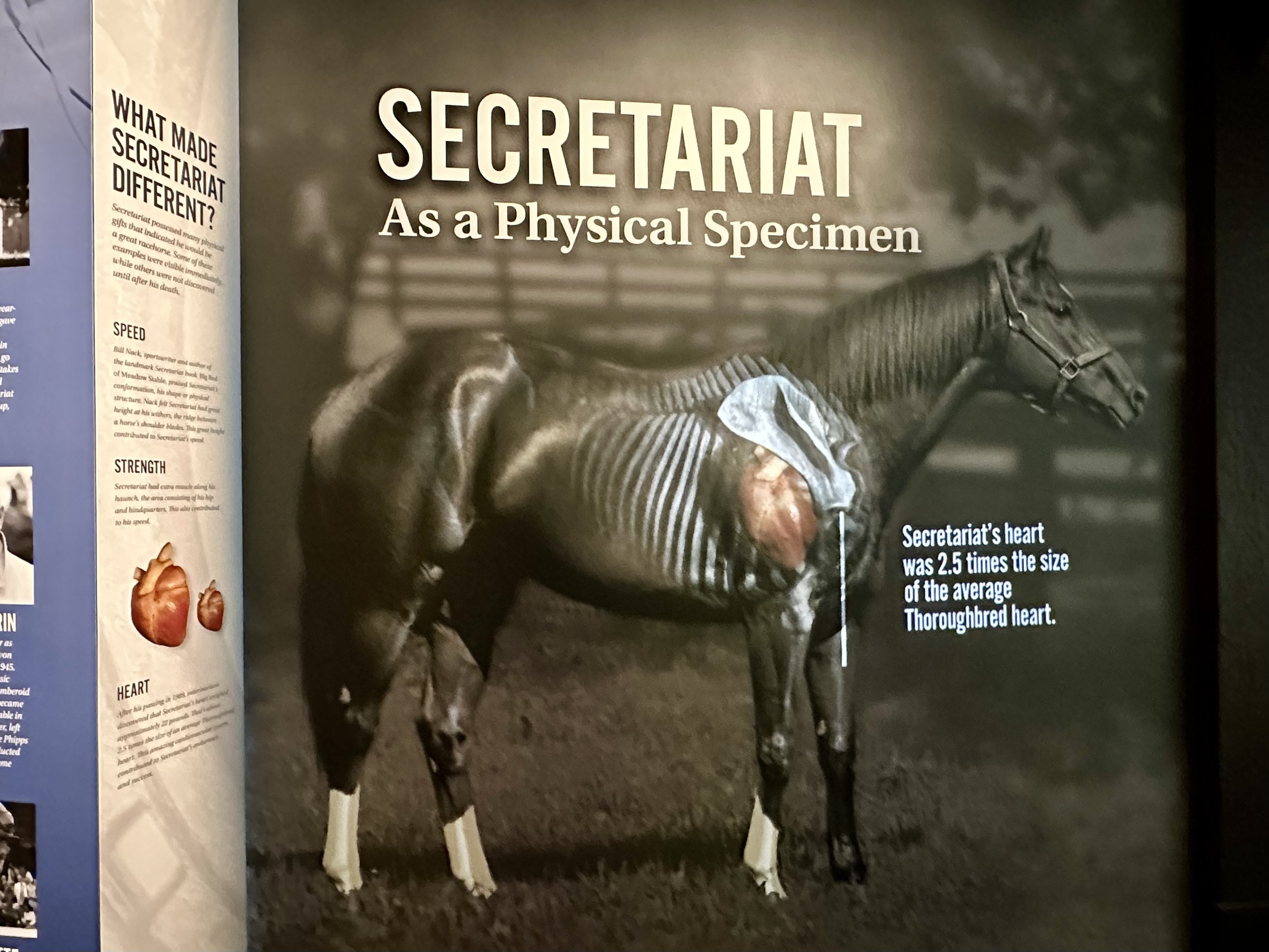 Secretariat
