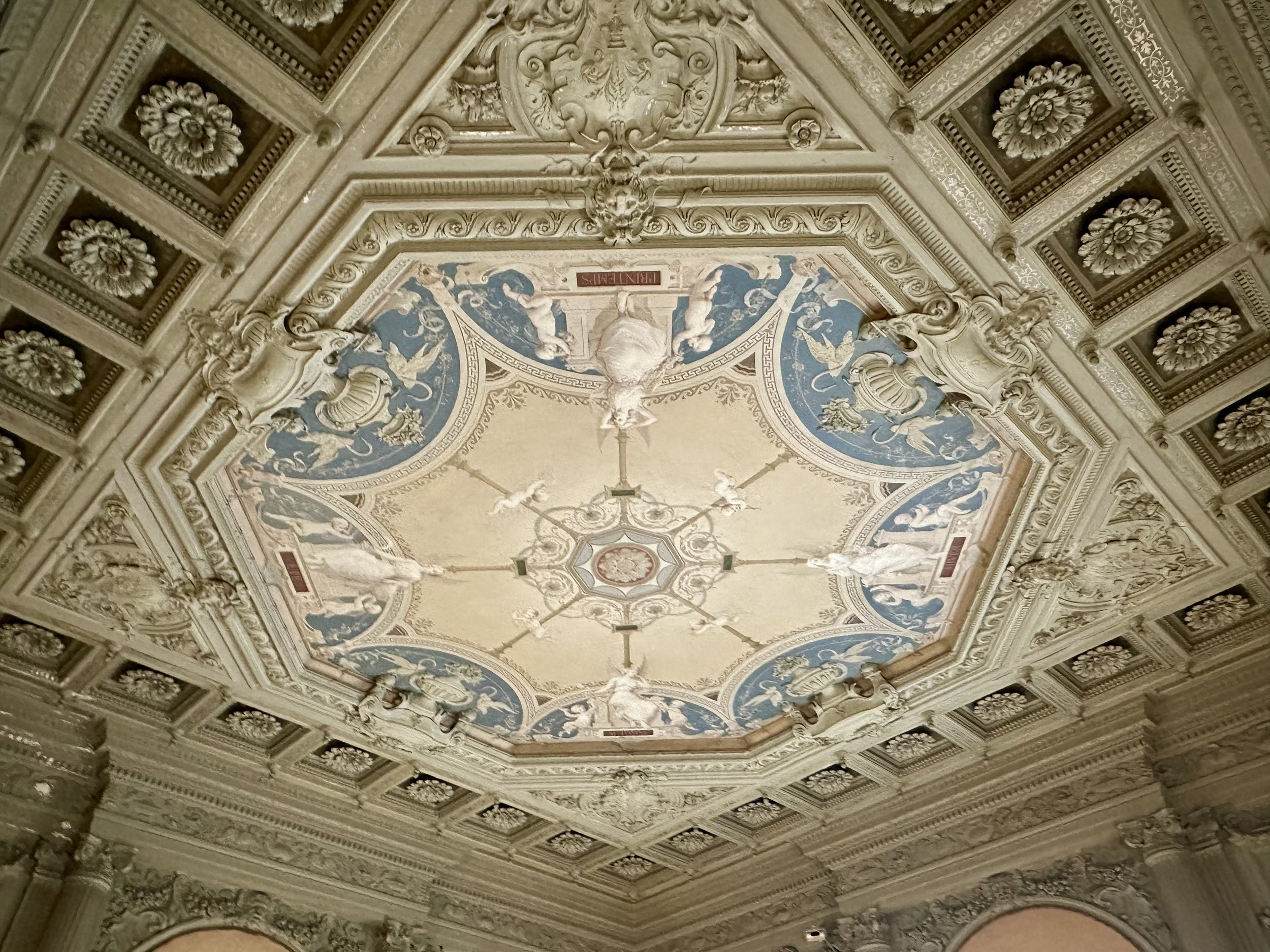 Ceiling in Morning Room