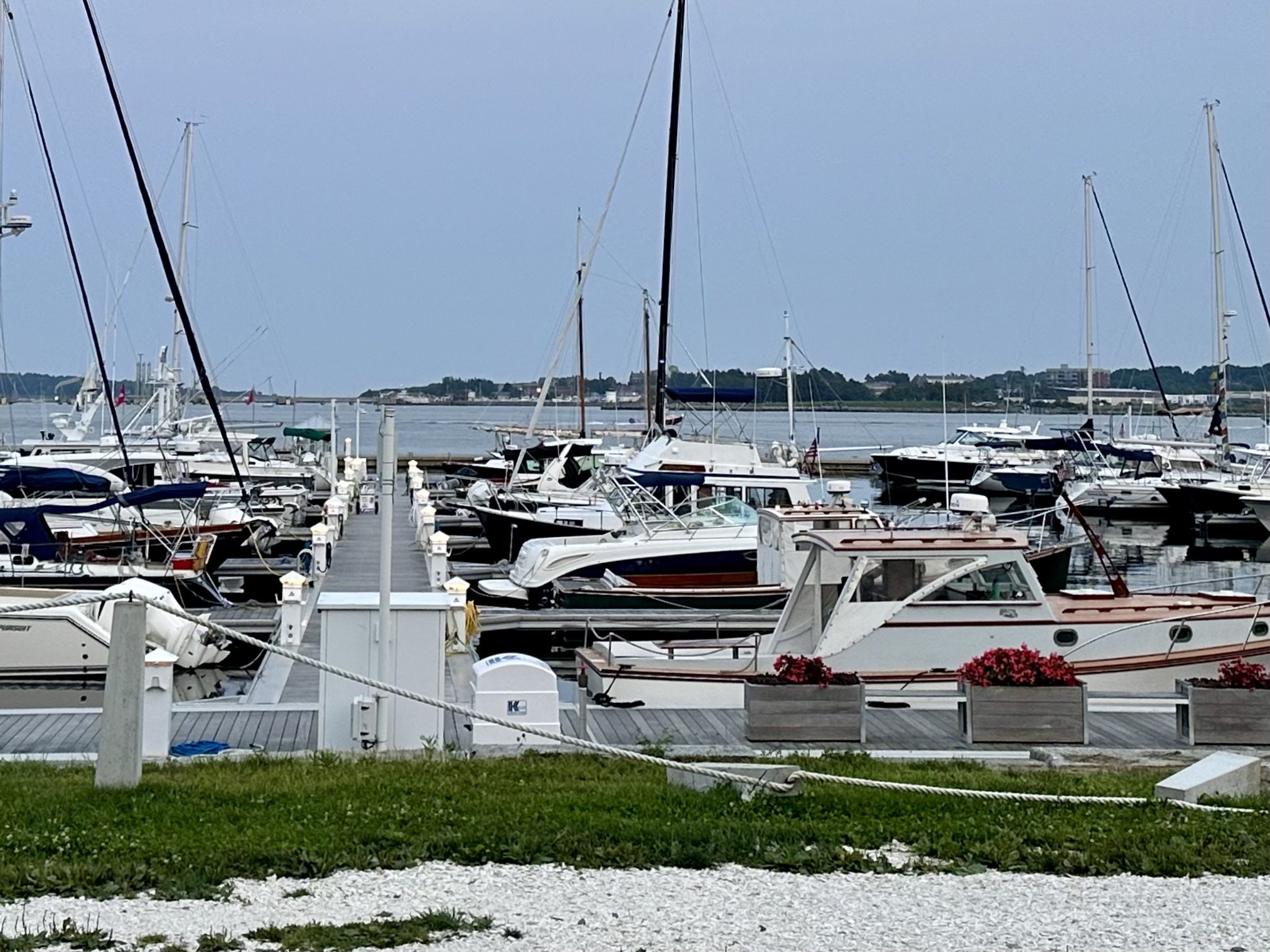 IMG_0983.jpeg