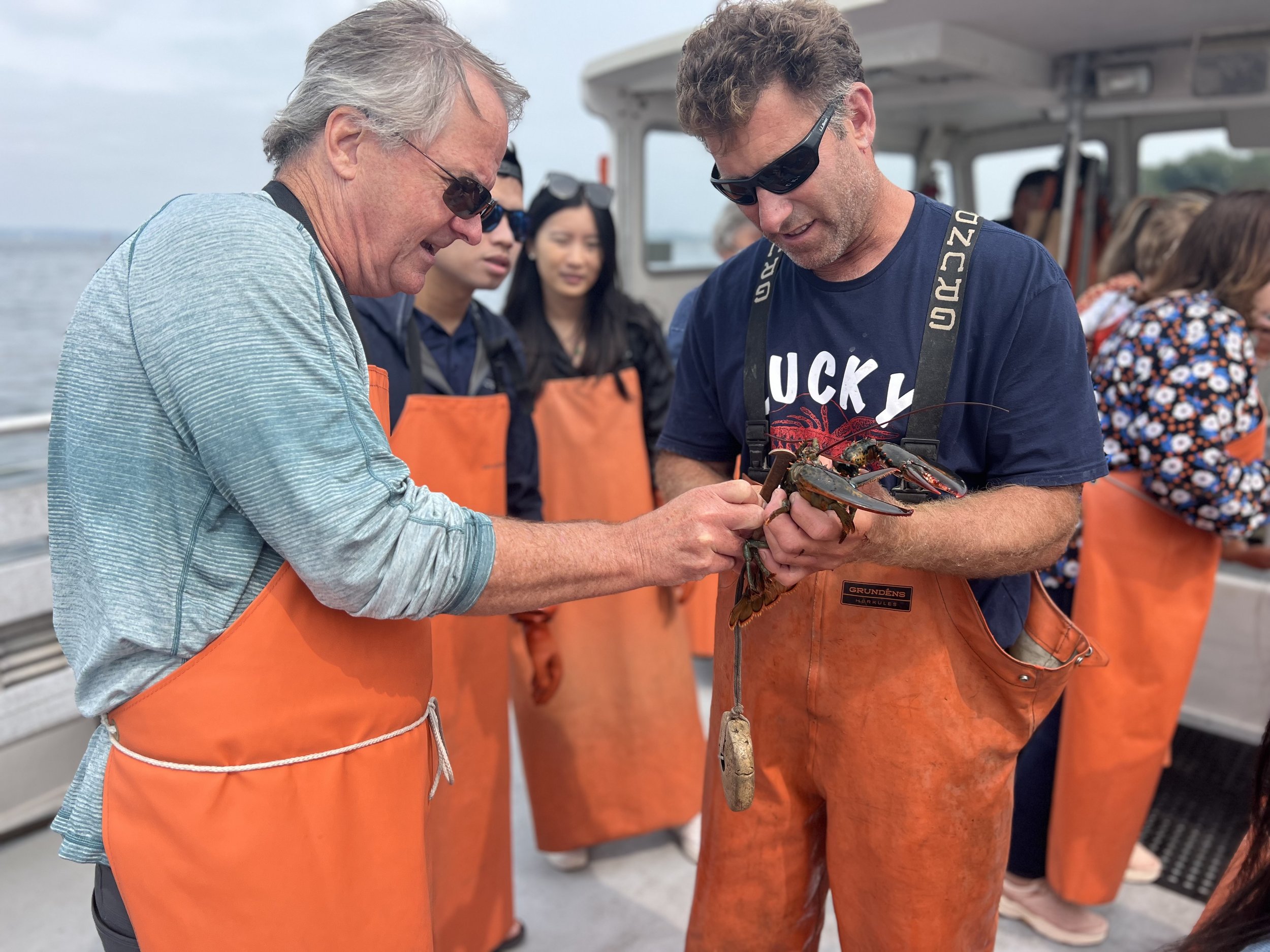 Measuring a lobster