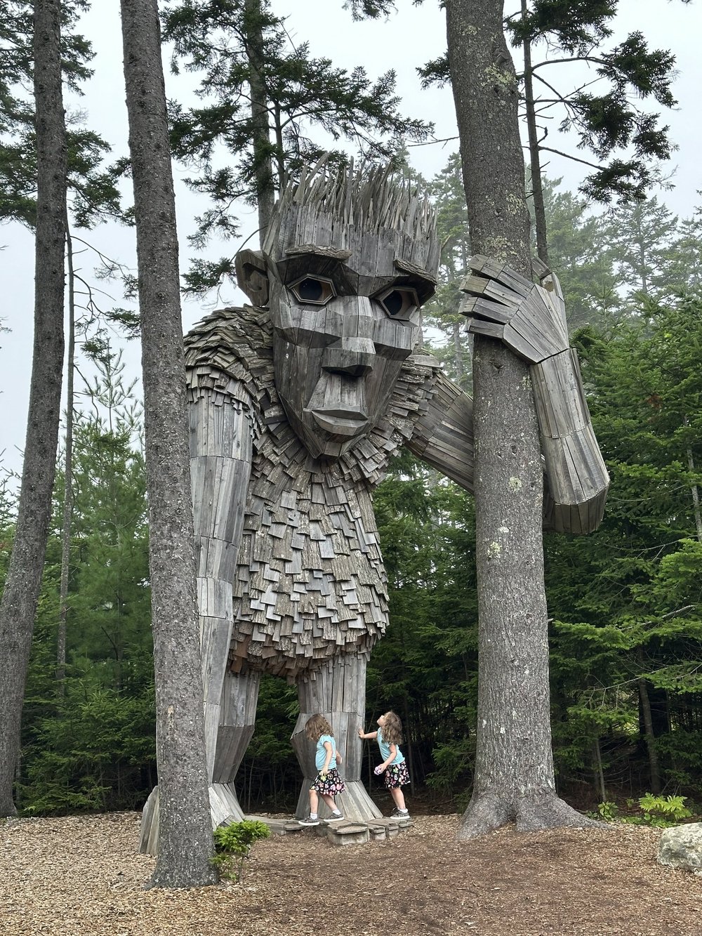 ROSKVA stands for the TRUNK of the tree.