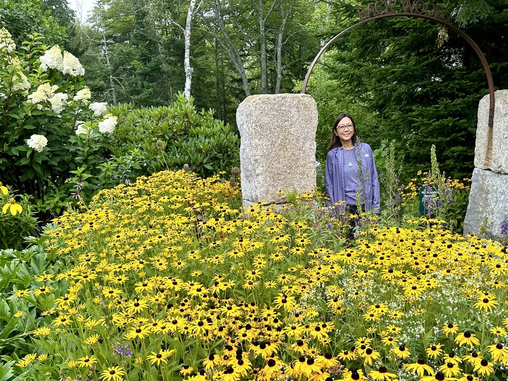 Leaving the woods and entering the gardens