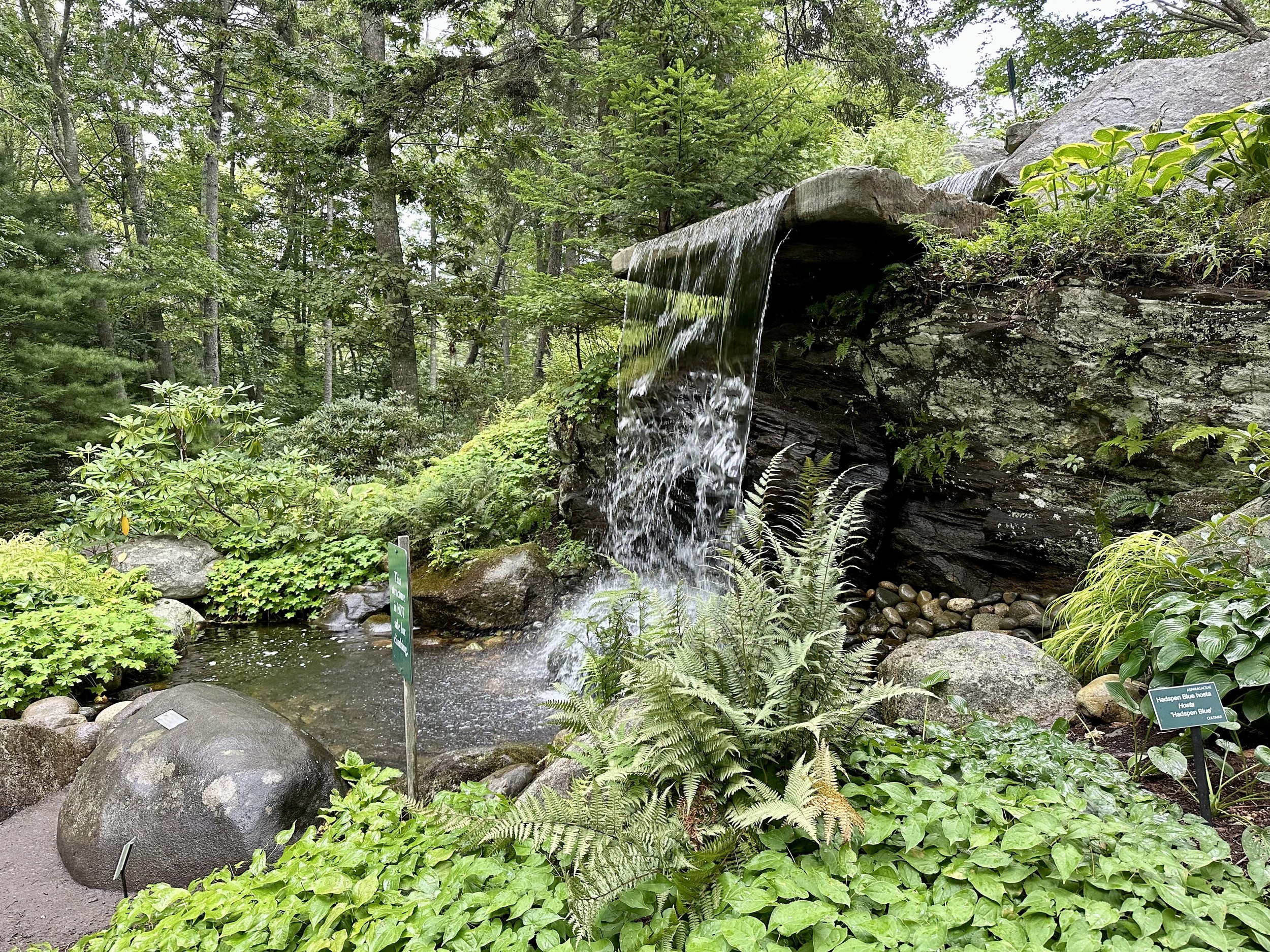 Waterfall
