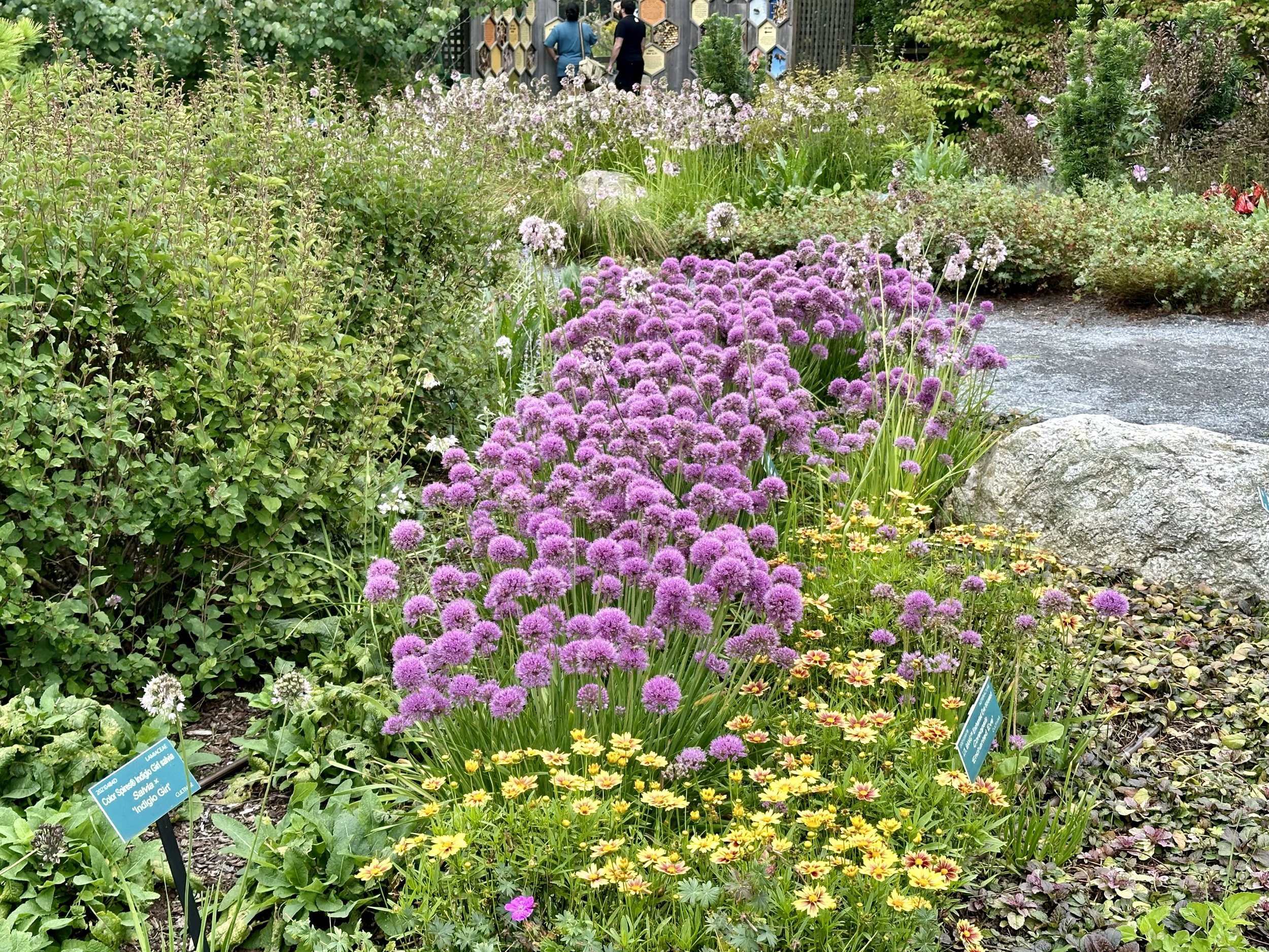 IMG_1478.jpeg