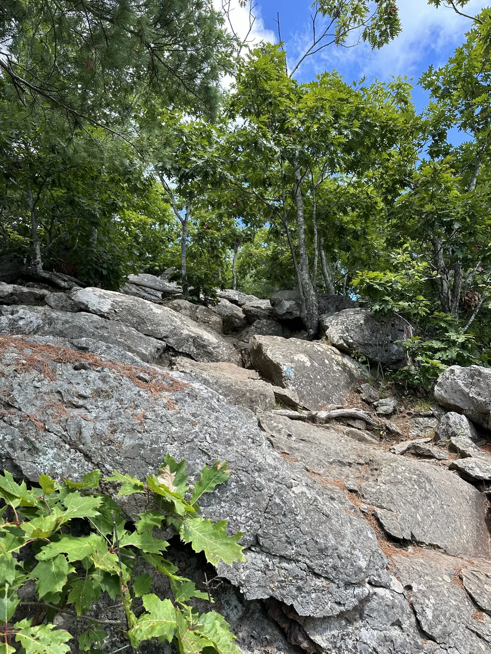 Also the Mount Battie Trail