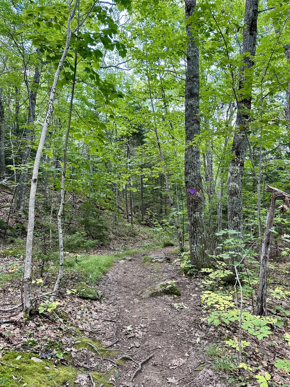 Carriage Road Trail