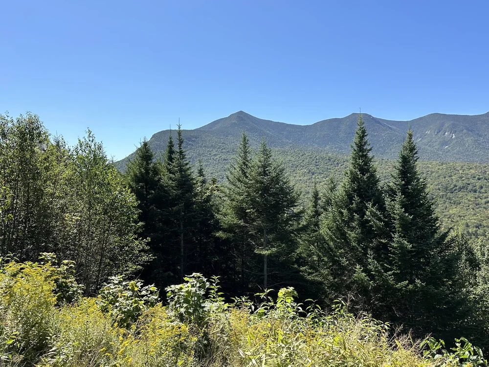 Mount Washington (at center)