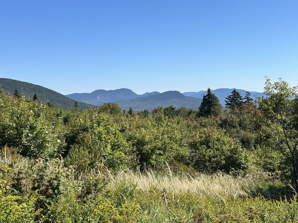 View at Kancamagus Pass (elev. 2,855 ft)