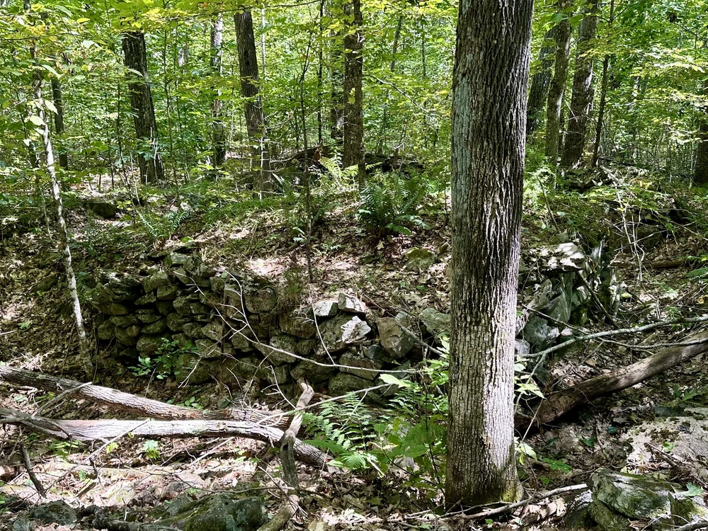 Ruins of old house (stone fireplace)