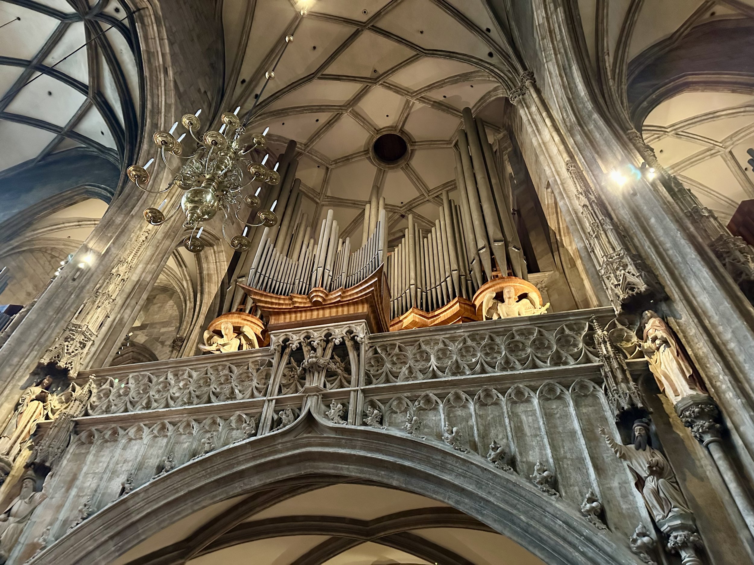 IMG_5239.jpeg