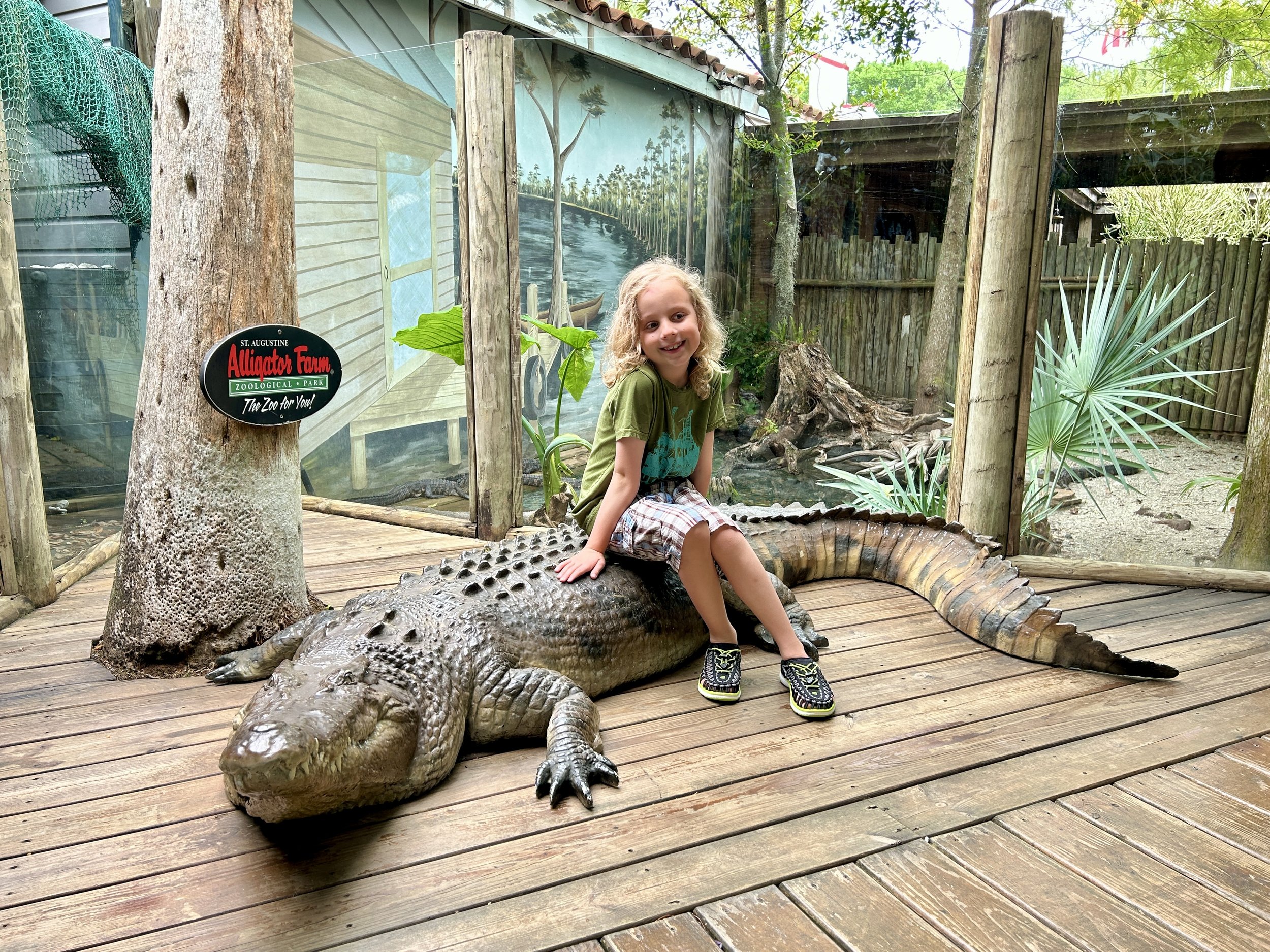 Alligator Farm