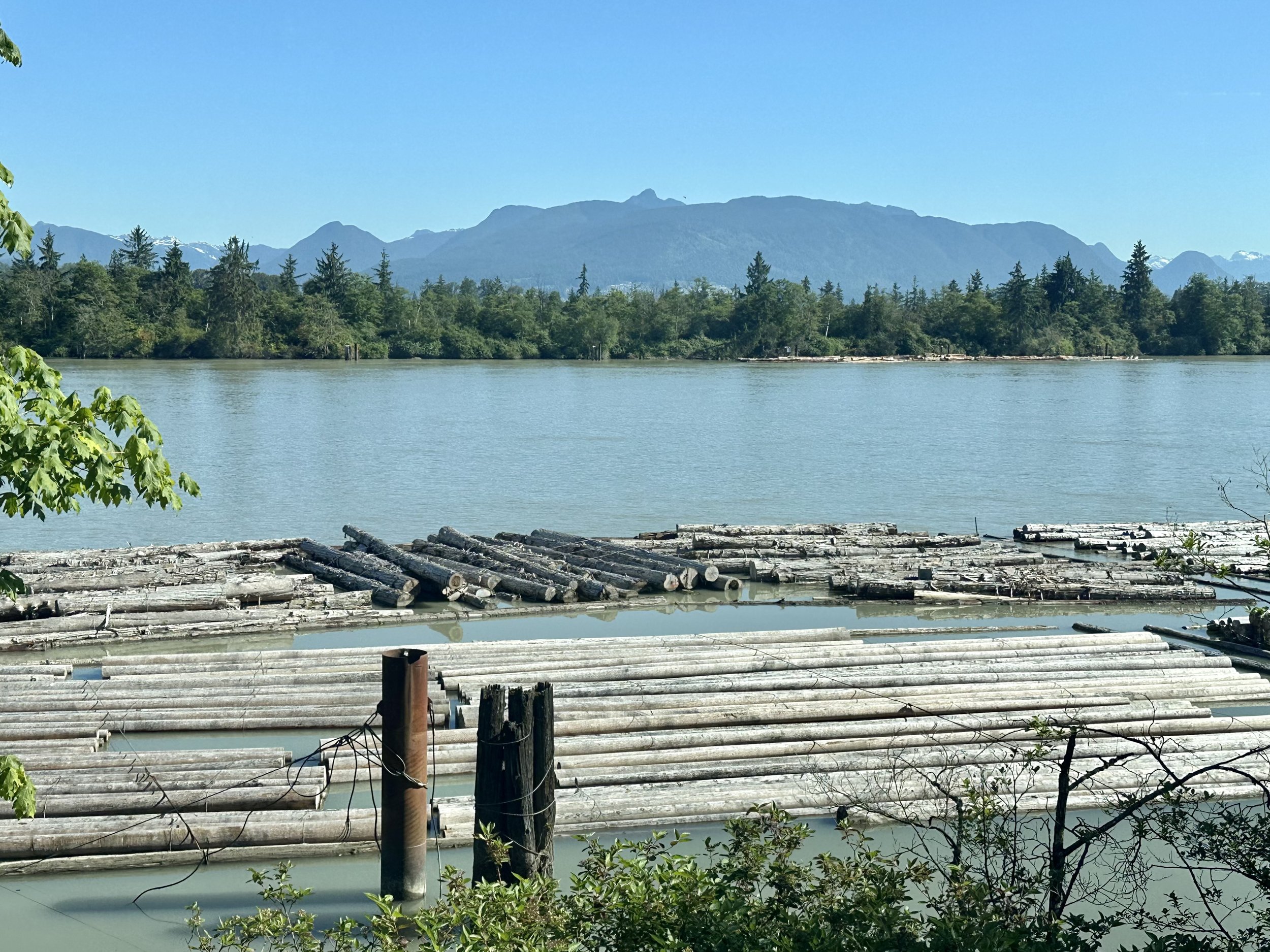 Log Boom on Fraser River
