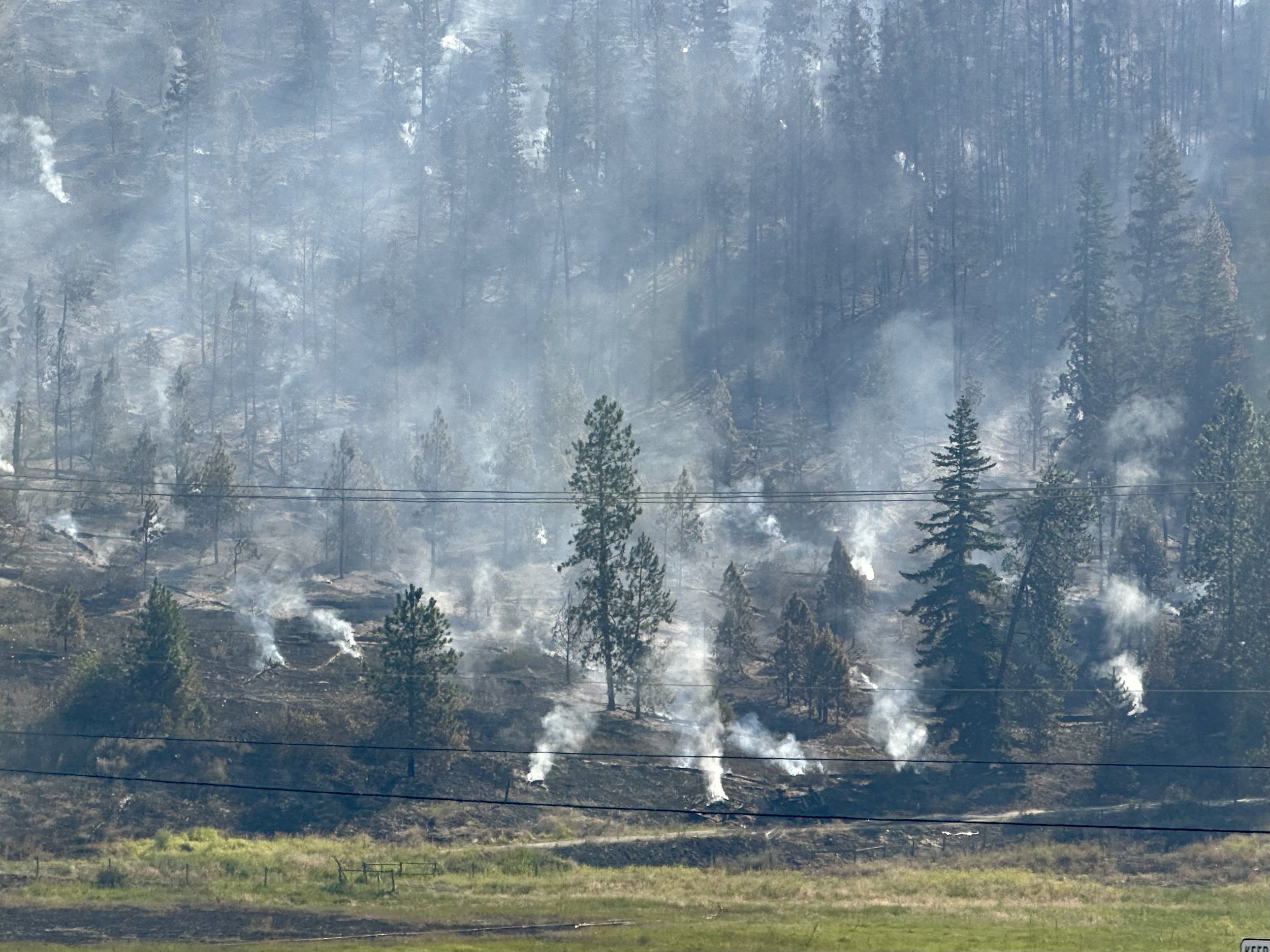 Wildfire