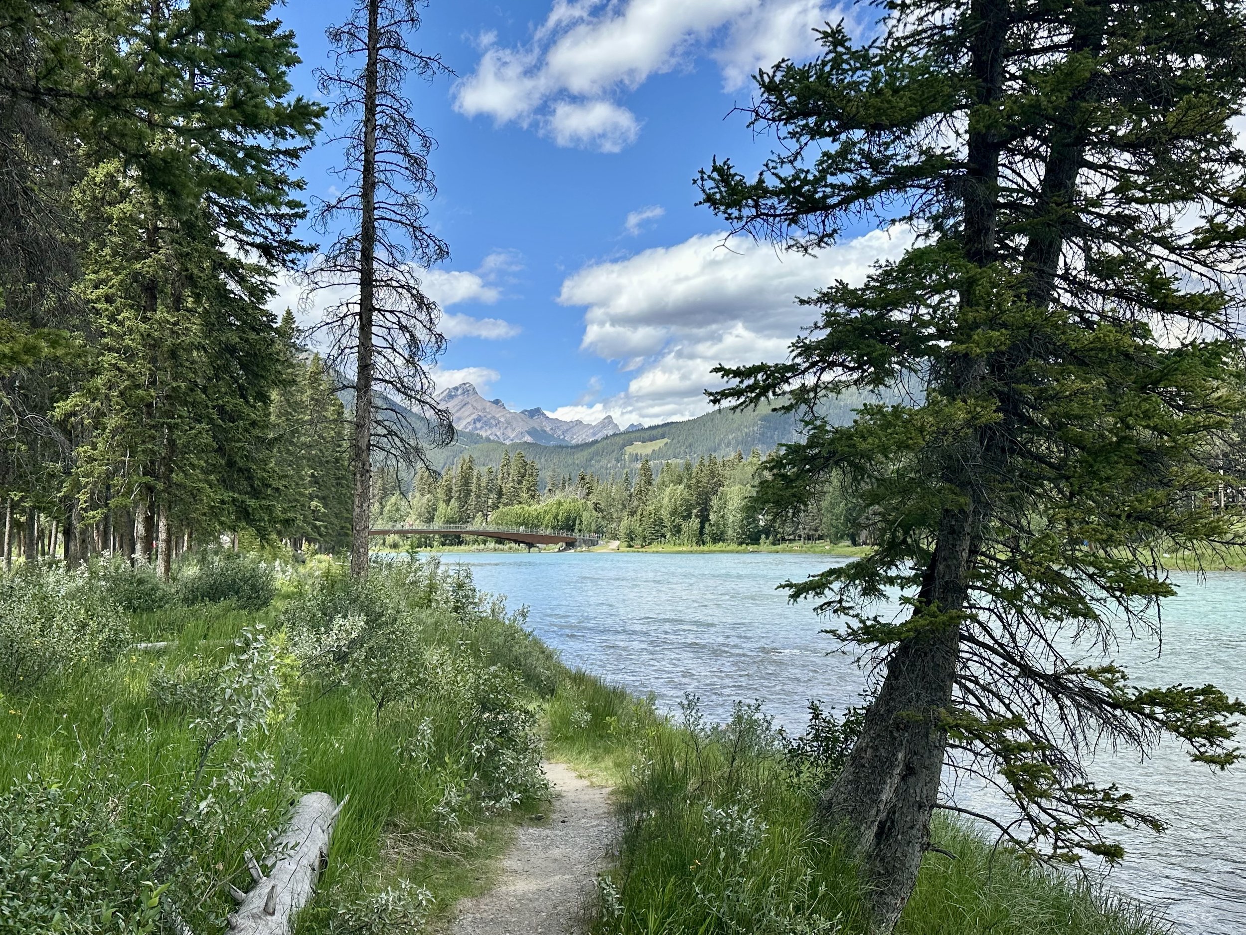 Bow Falls Trail