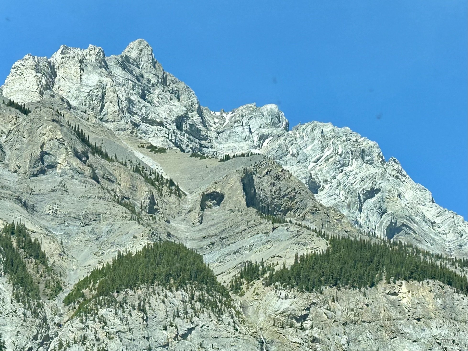 IMG_3722.jpeg