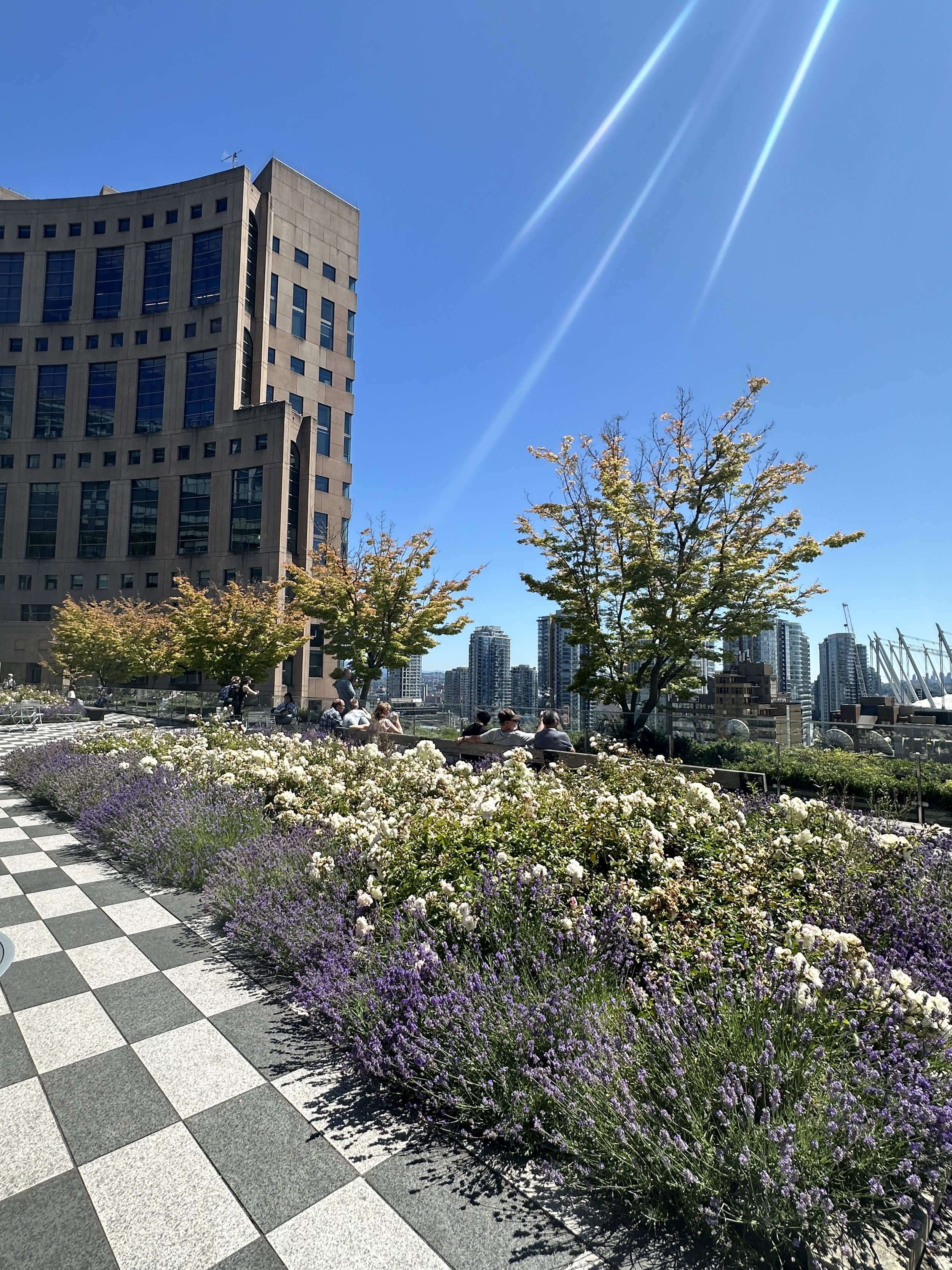 Rooftop at Vancouver Public Library - Central Branch