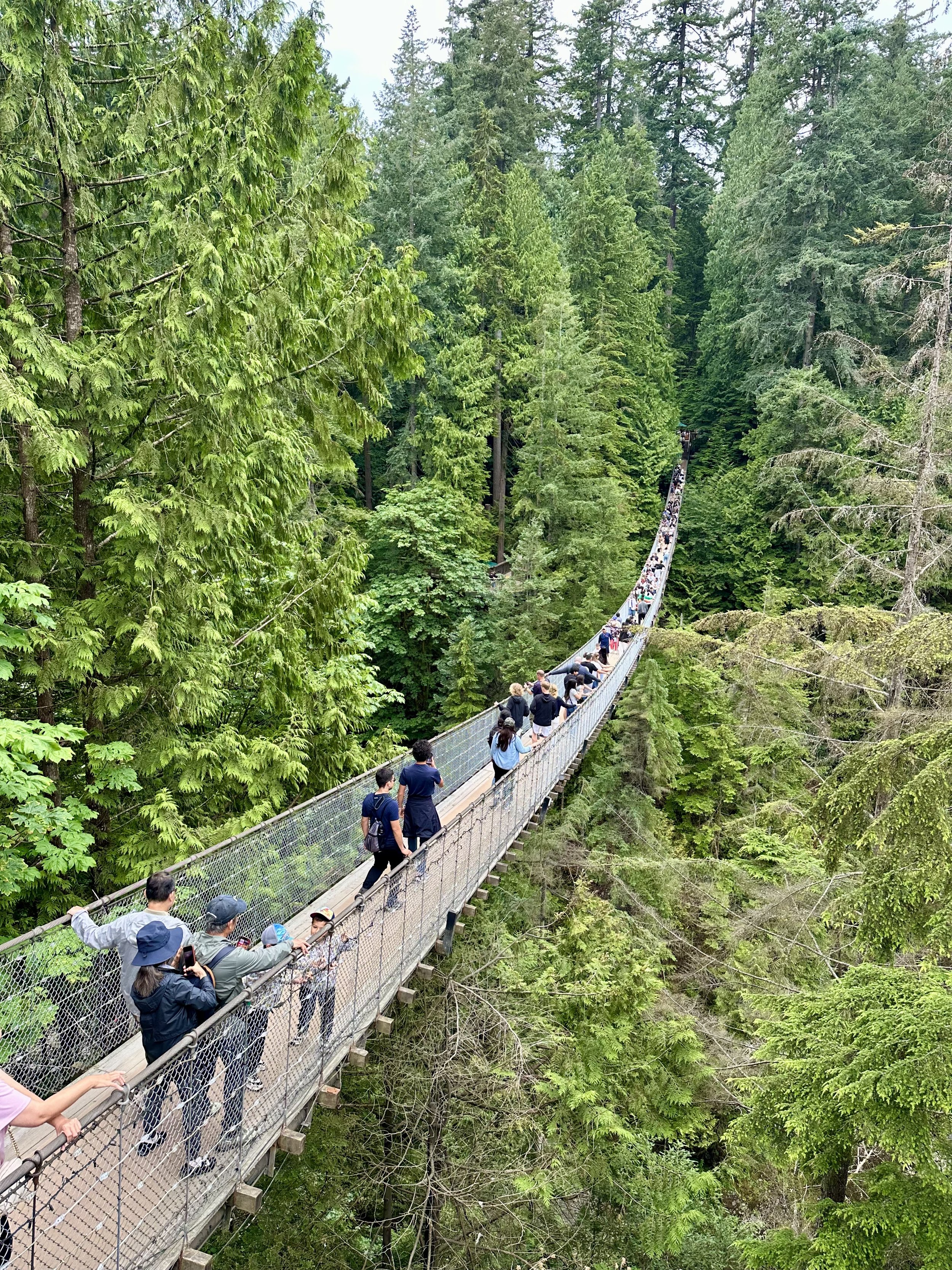 There are a lot of people on that bridge