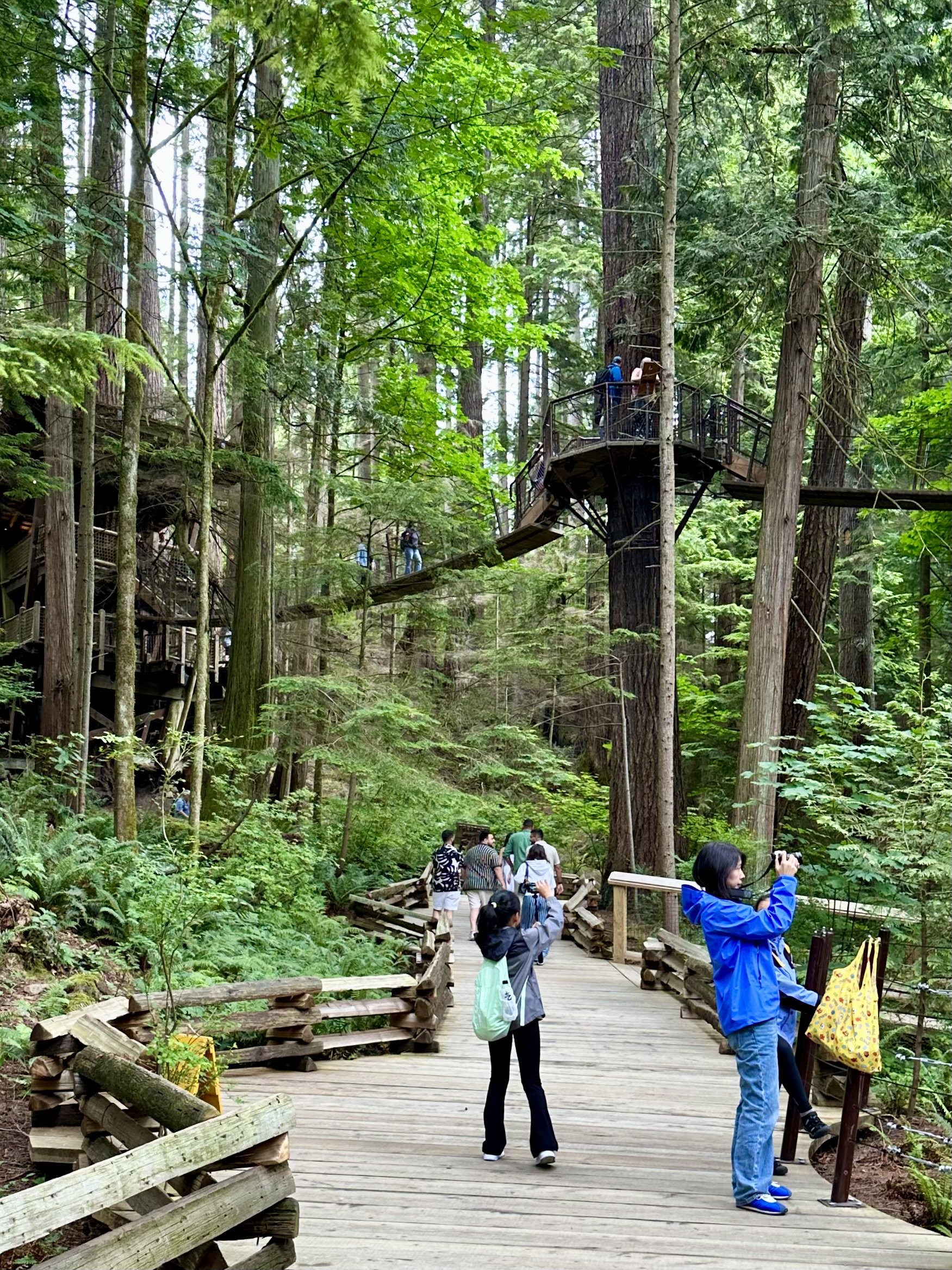 Platforms held up by "tree hugger" technology