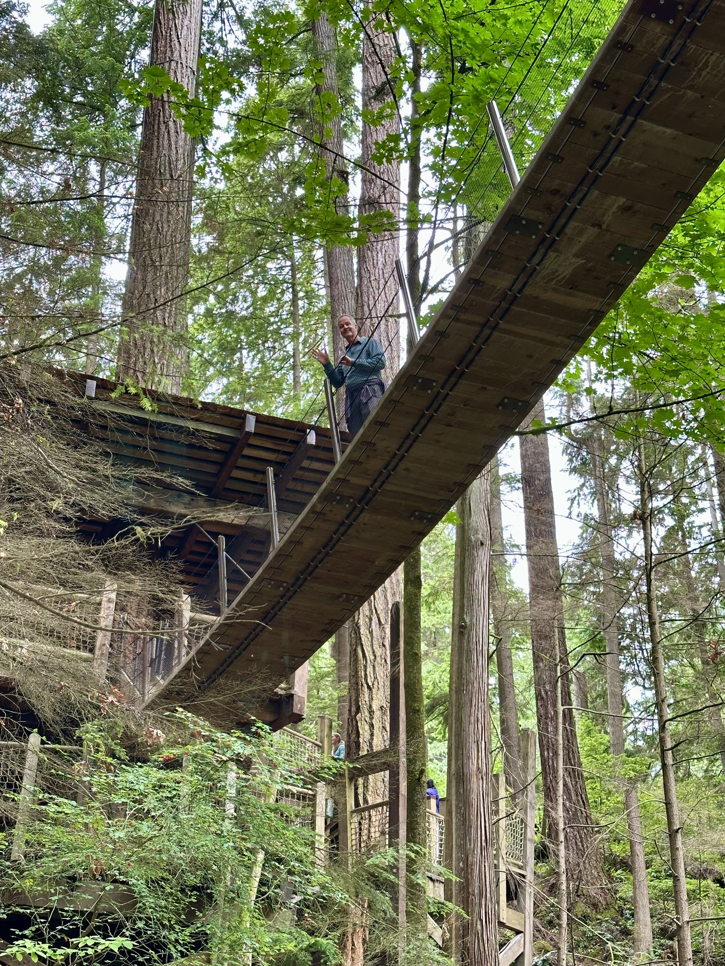 One of seven suspension bridges