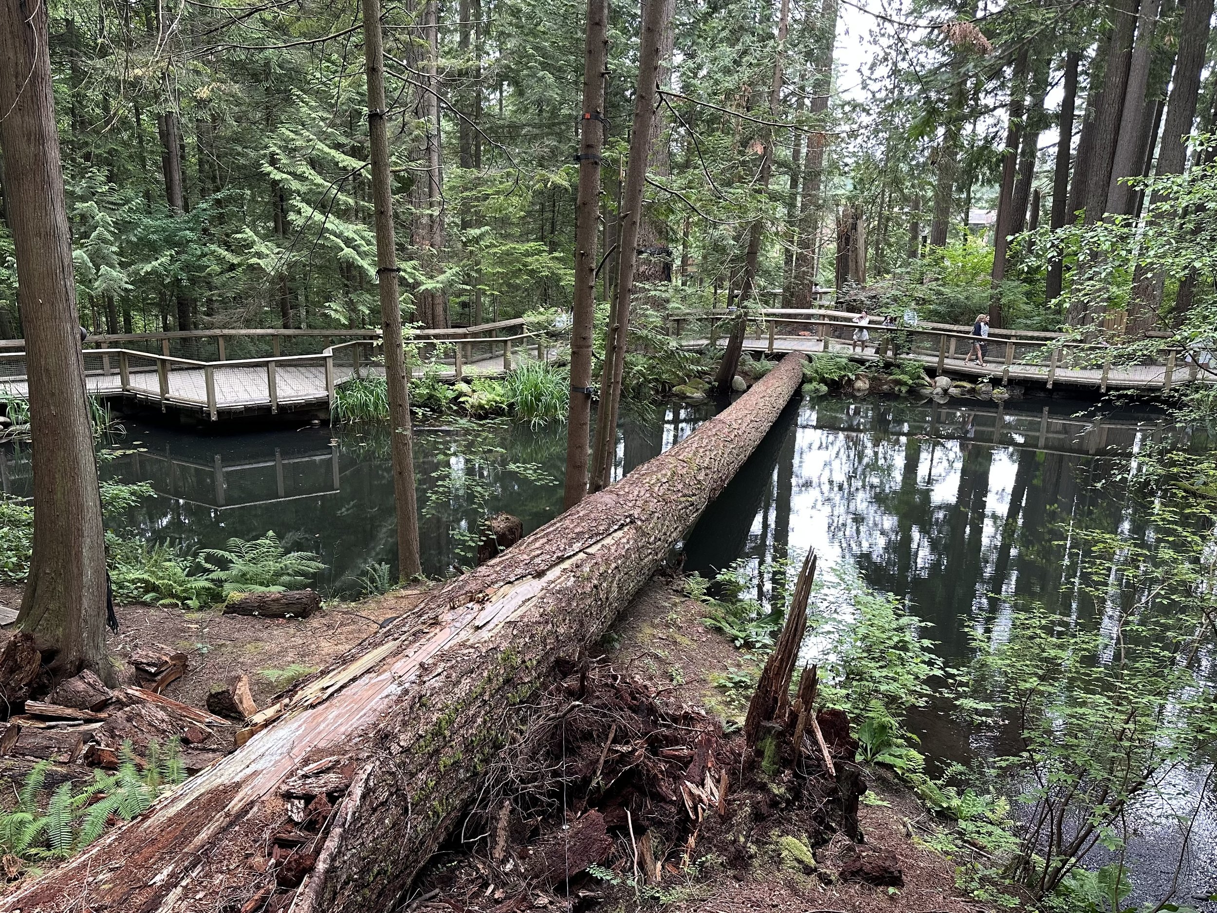 Sections of the path go over water