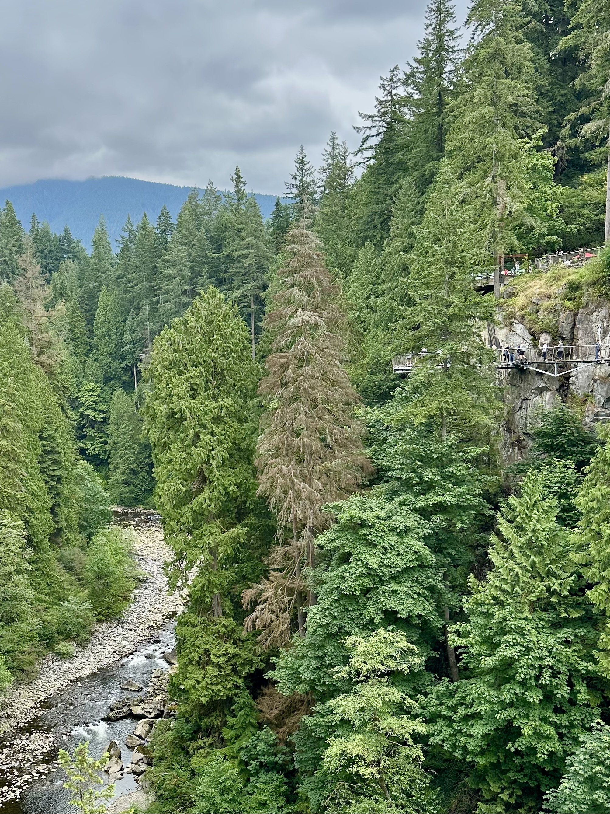 Cliffwalk at right, viewed from the Suspension Bridge