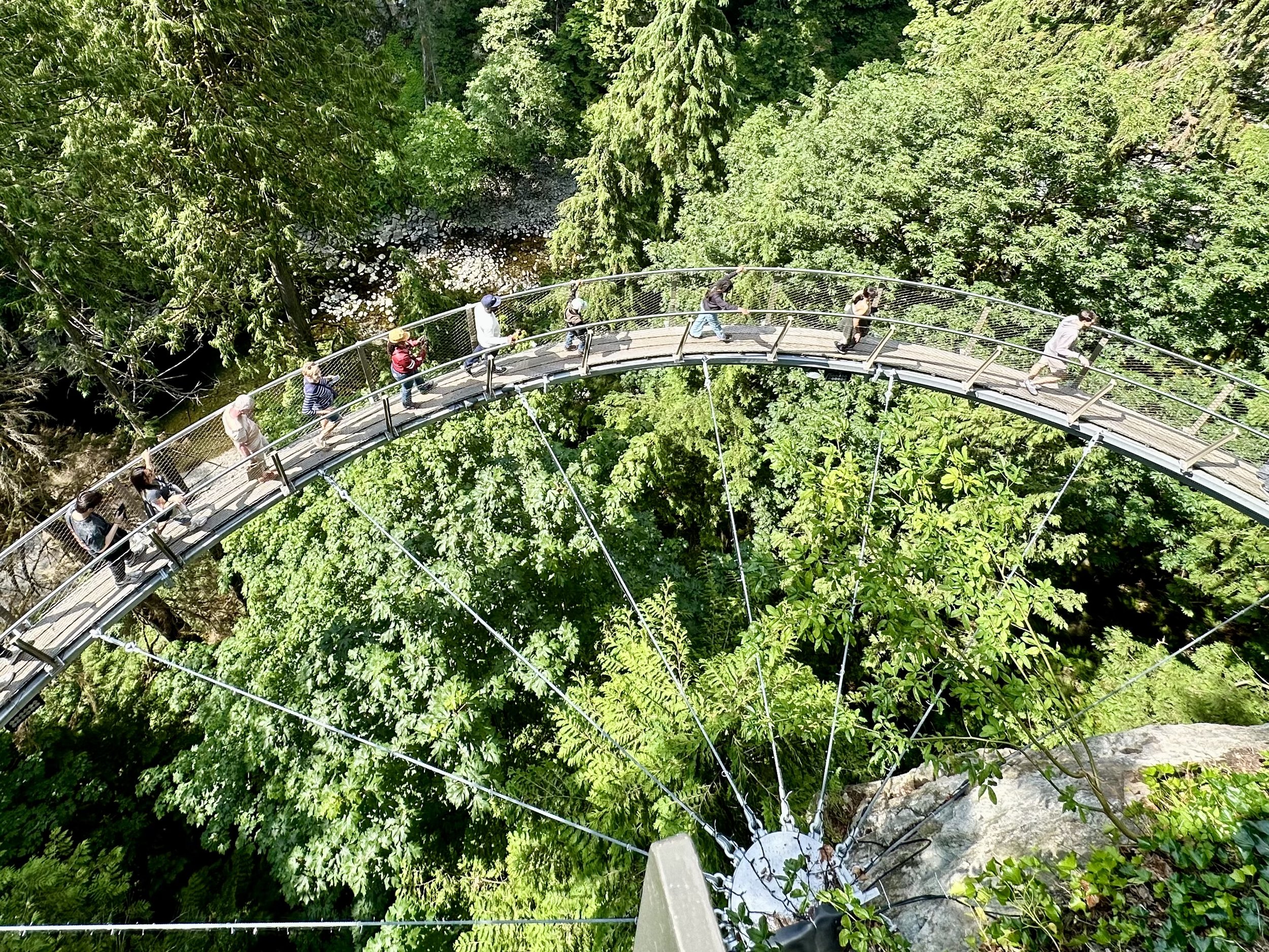 Cliffwalk viewed from above