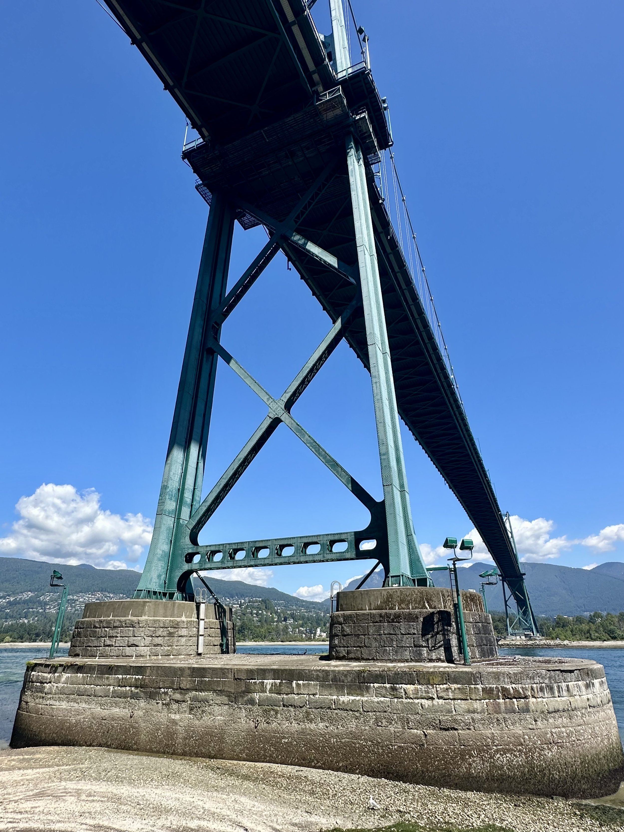 IMG_4339.jpeg