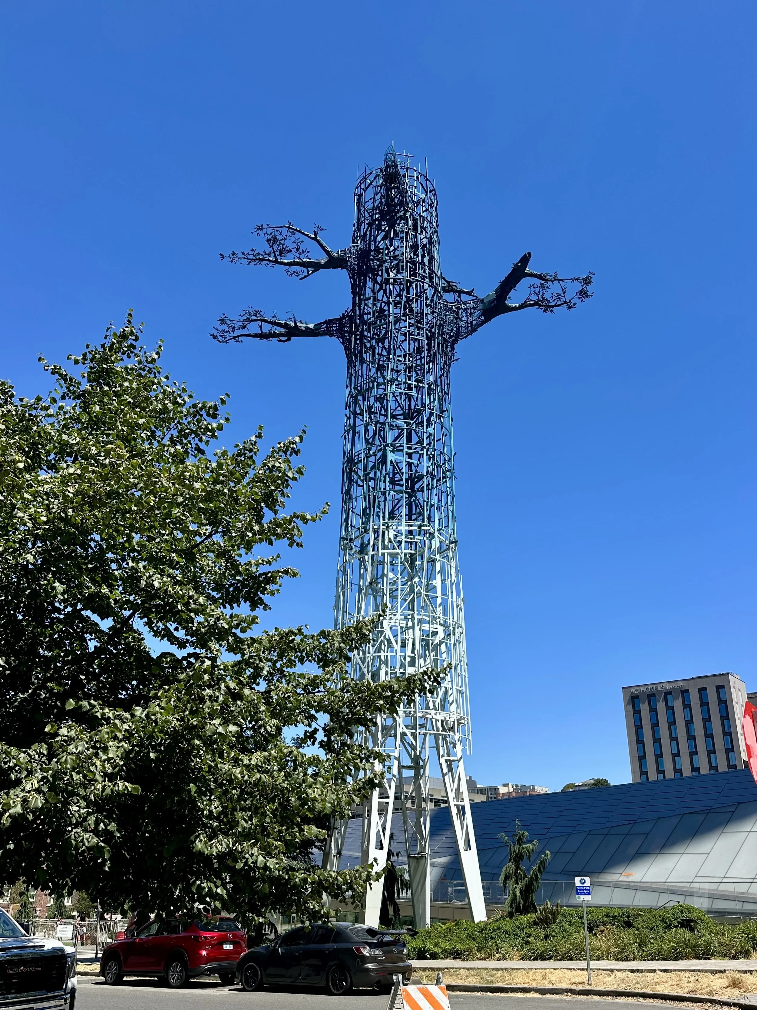 "Transforest" (public sculpture near REI)