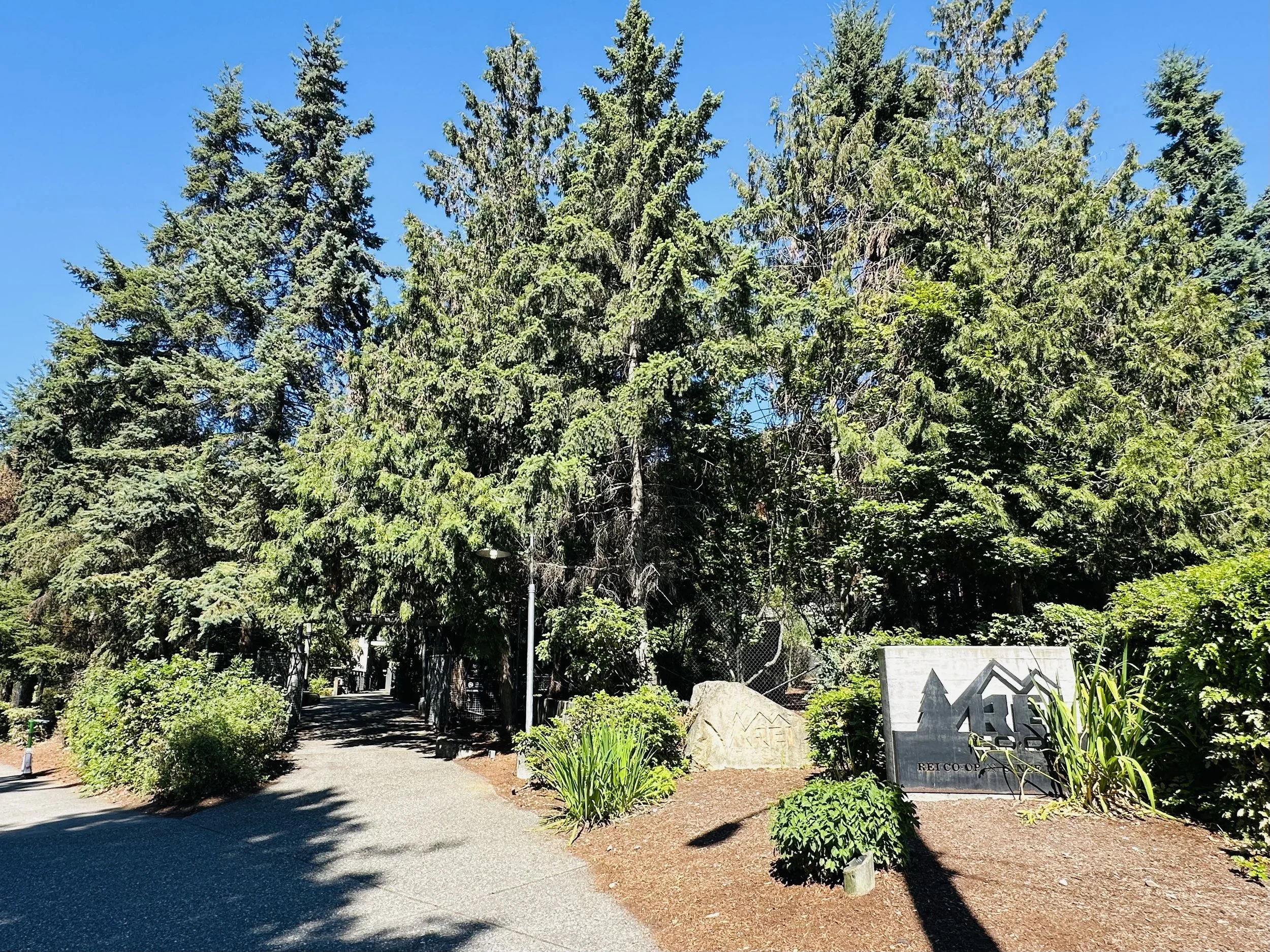 Store Entrance