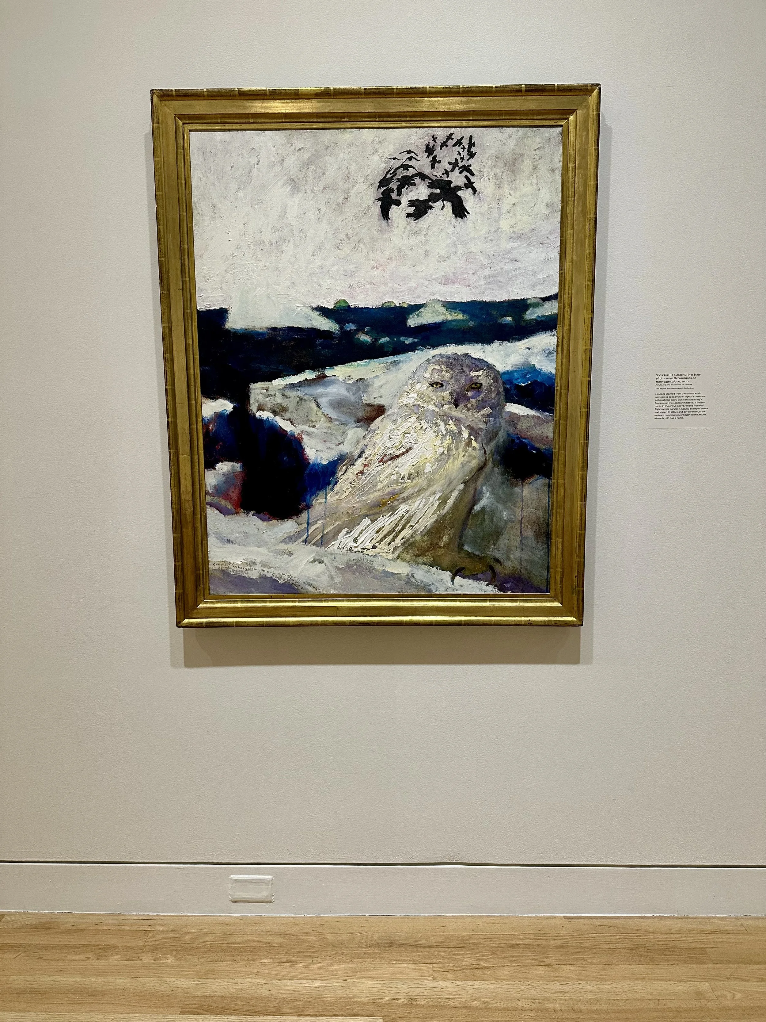 Snow Owl, 2020