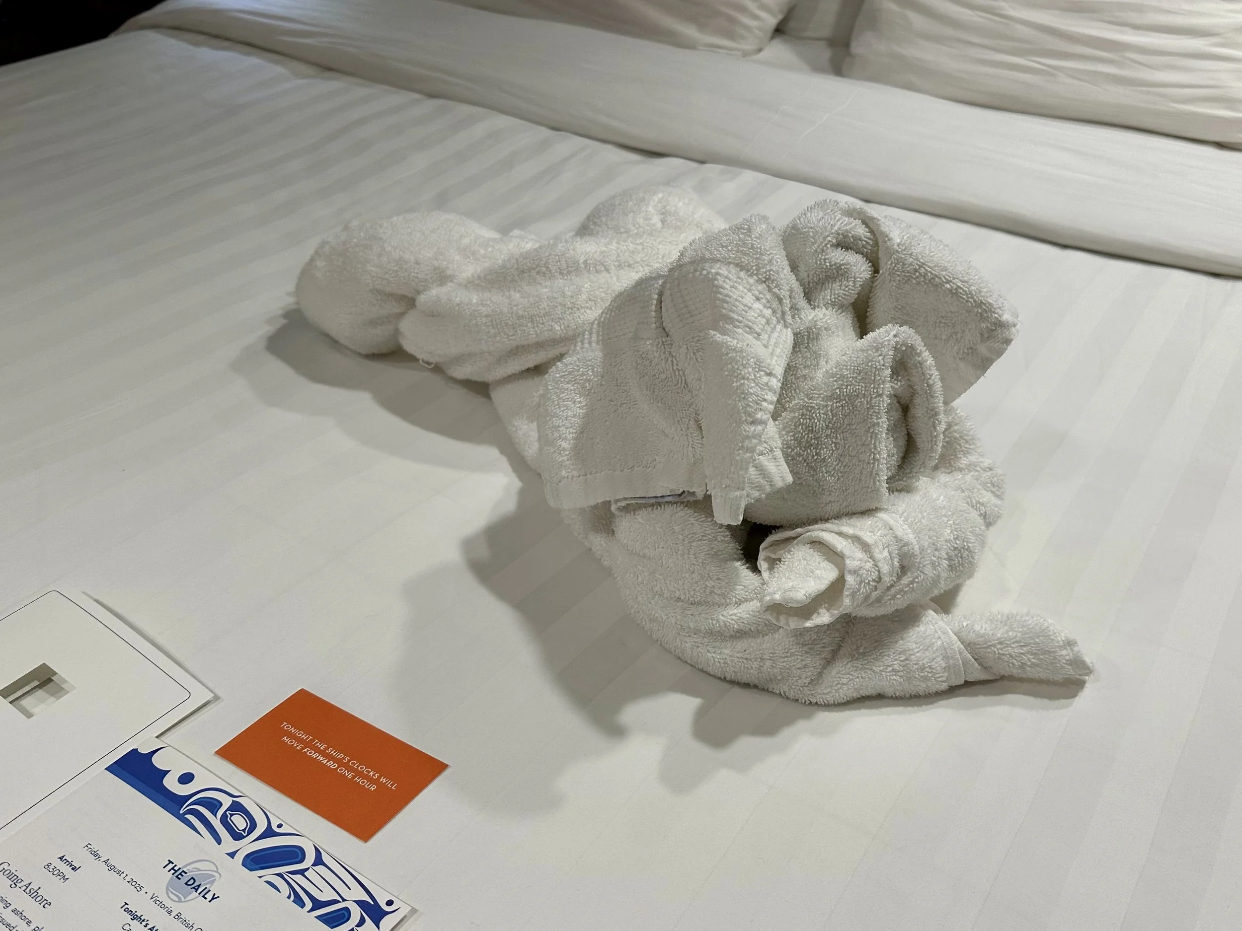 Towel rabbit