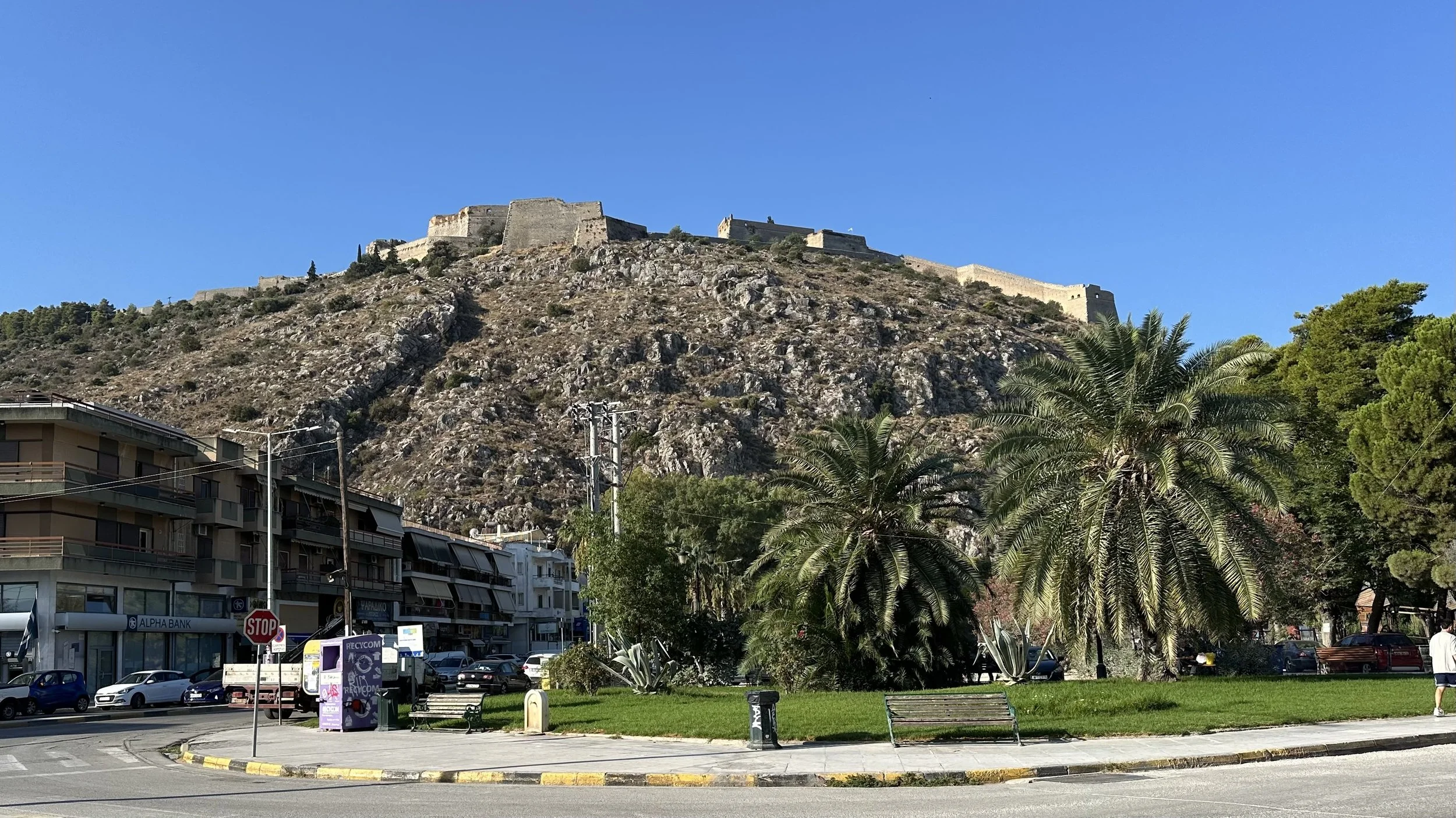 IMG_6420.jpeg