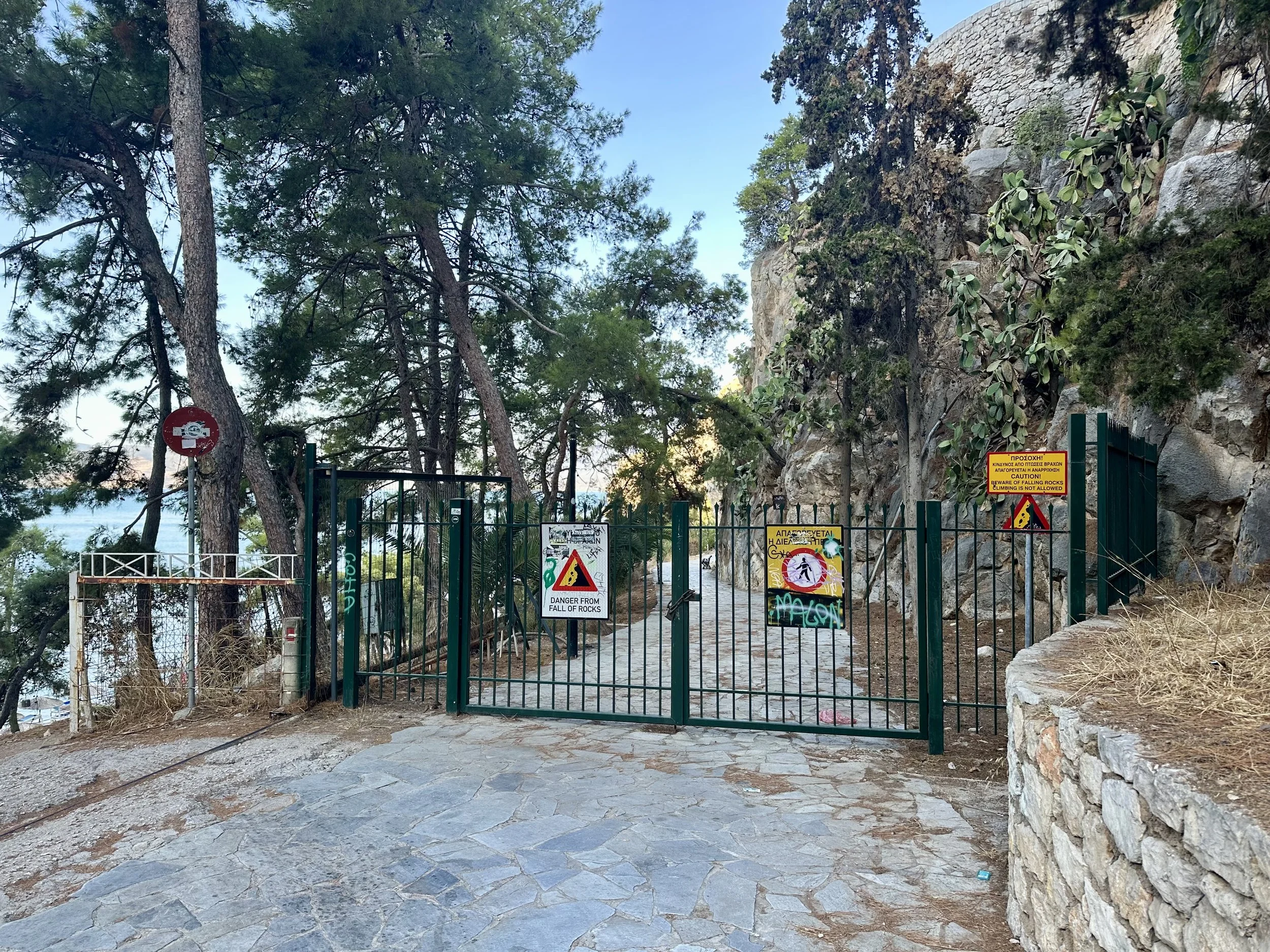 IMG_6637.jpeg