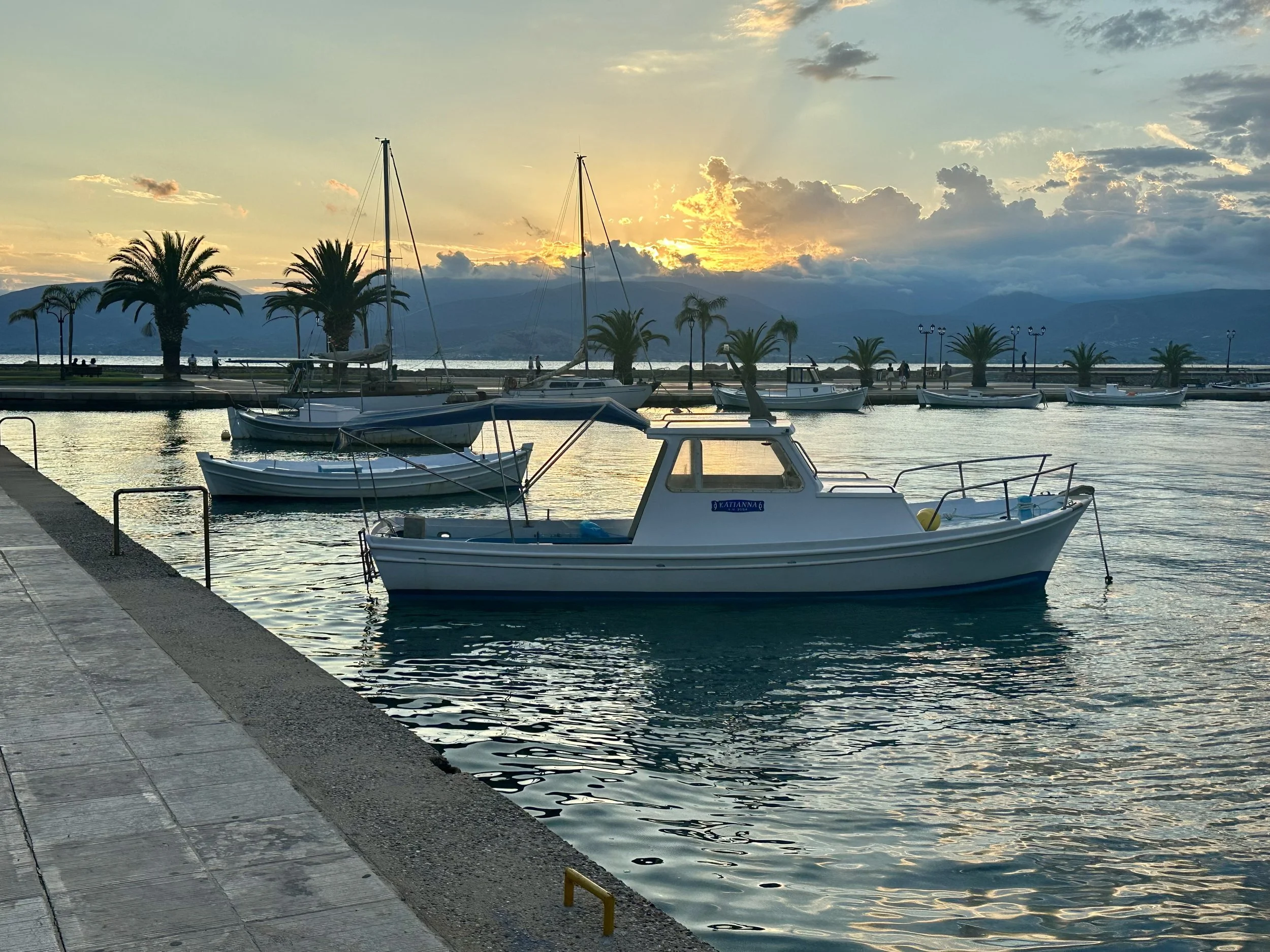 IMG_7310.jpeg