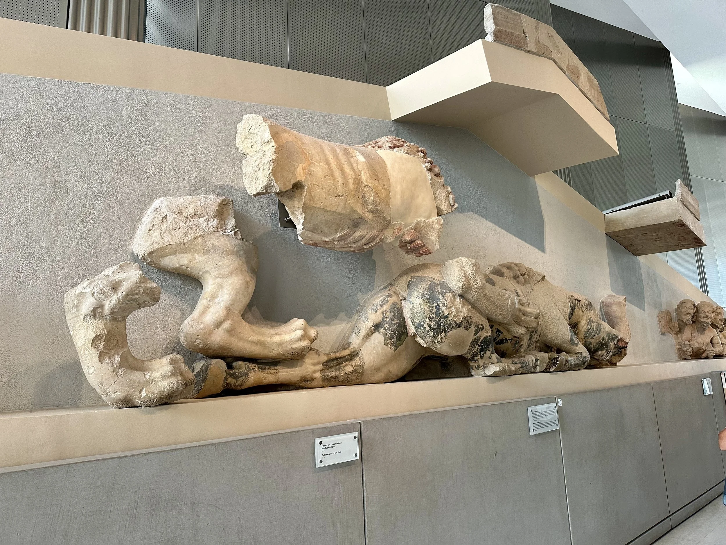 Two lions devouring a bull