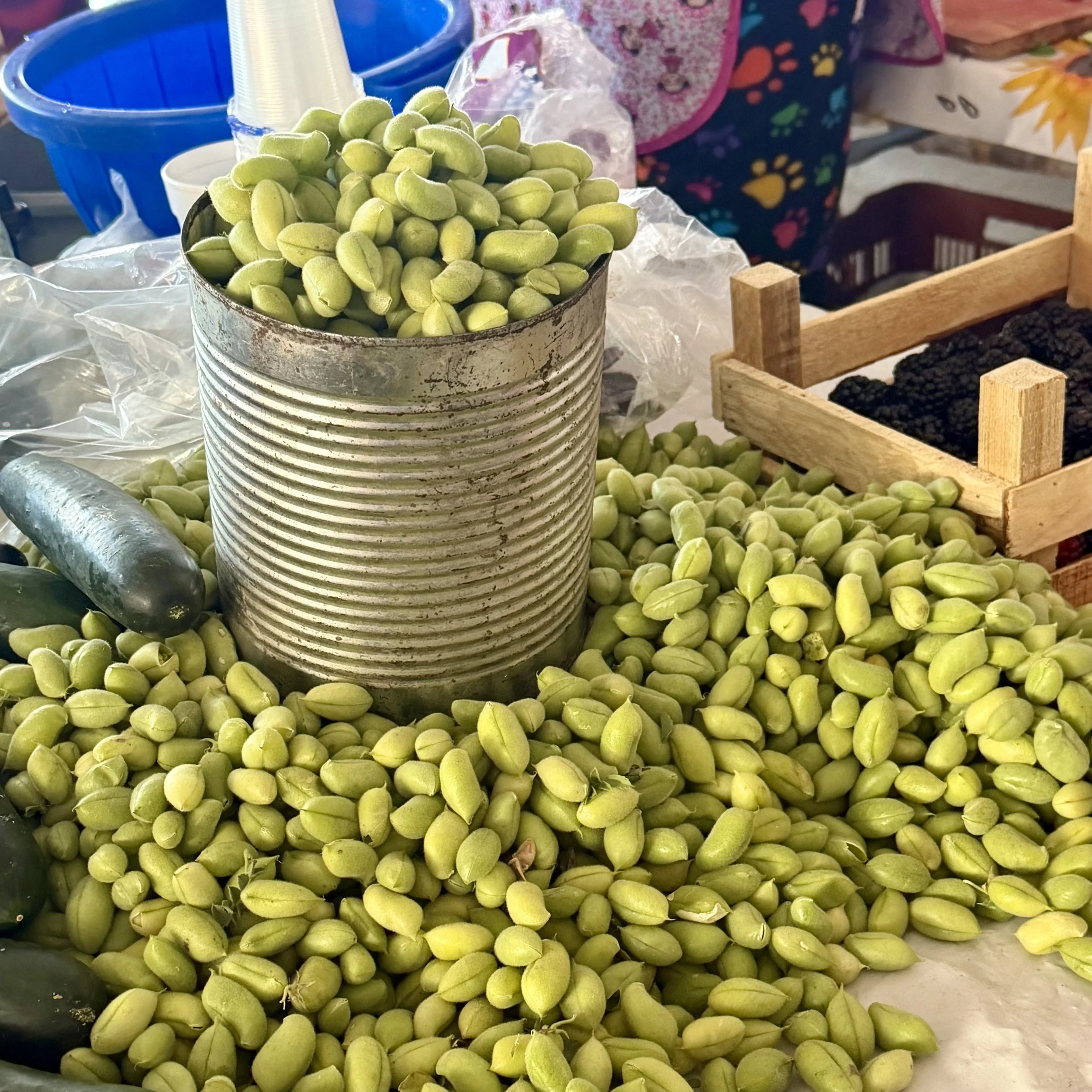garbanzos verdes