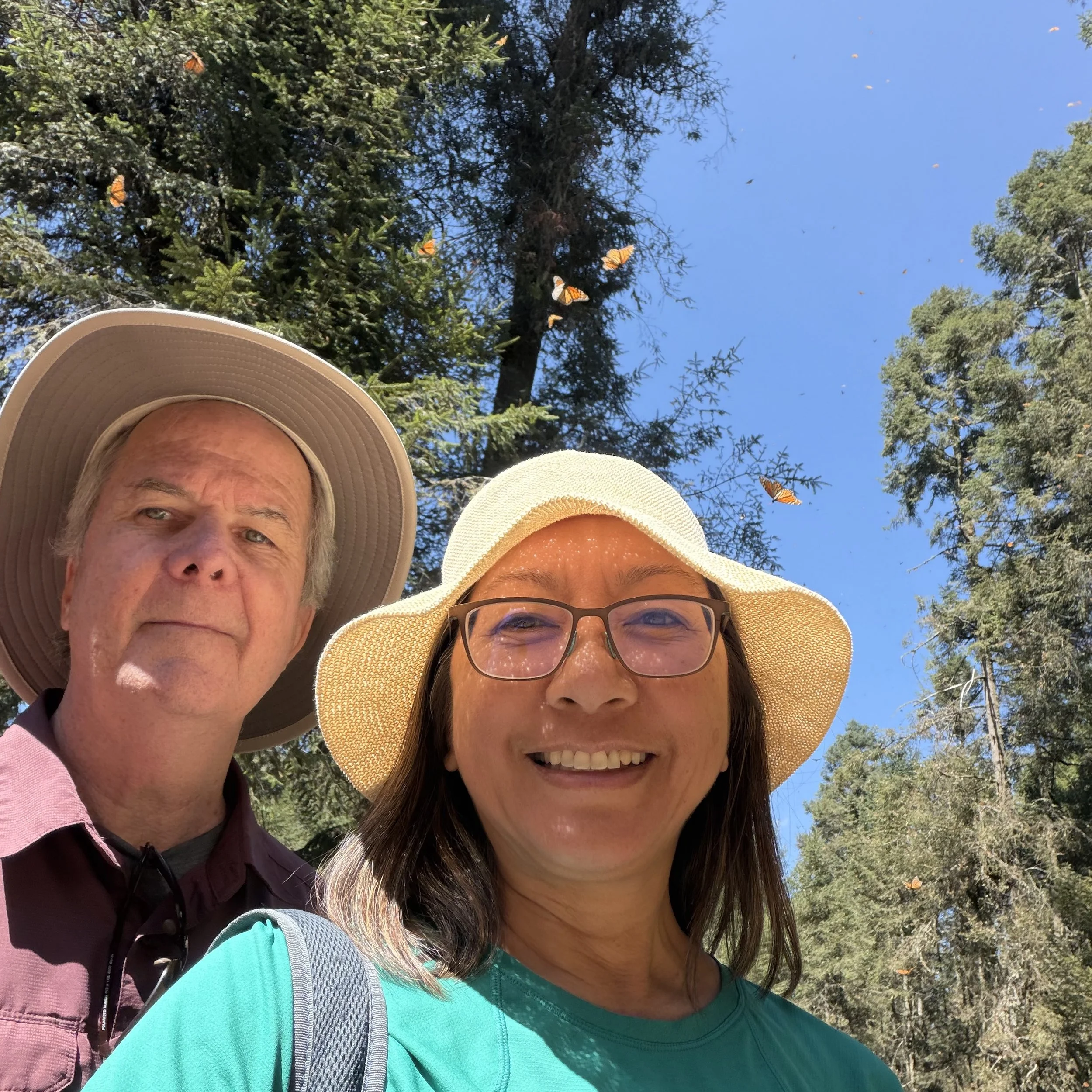 Monarch Butterfly Sanctuary