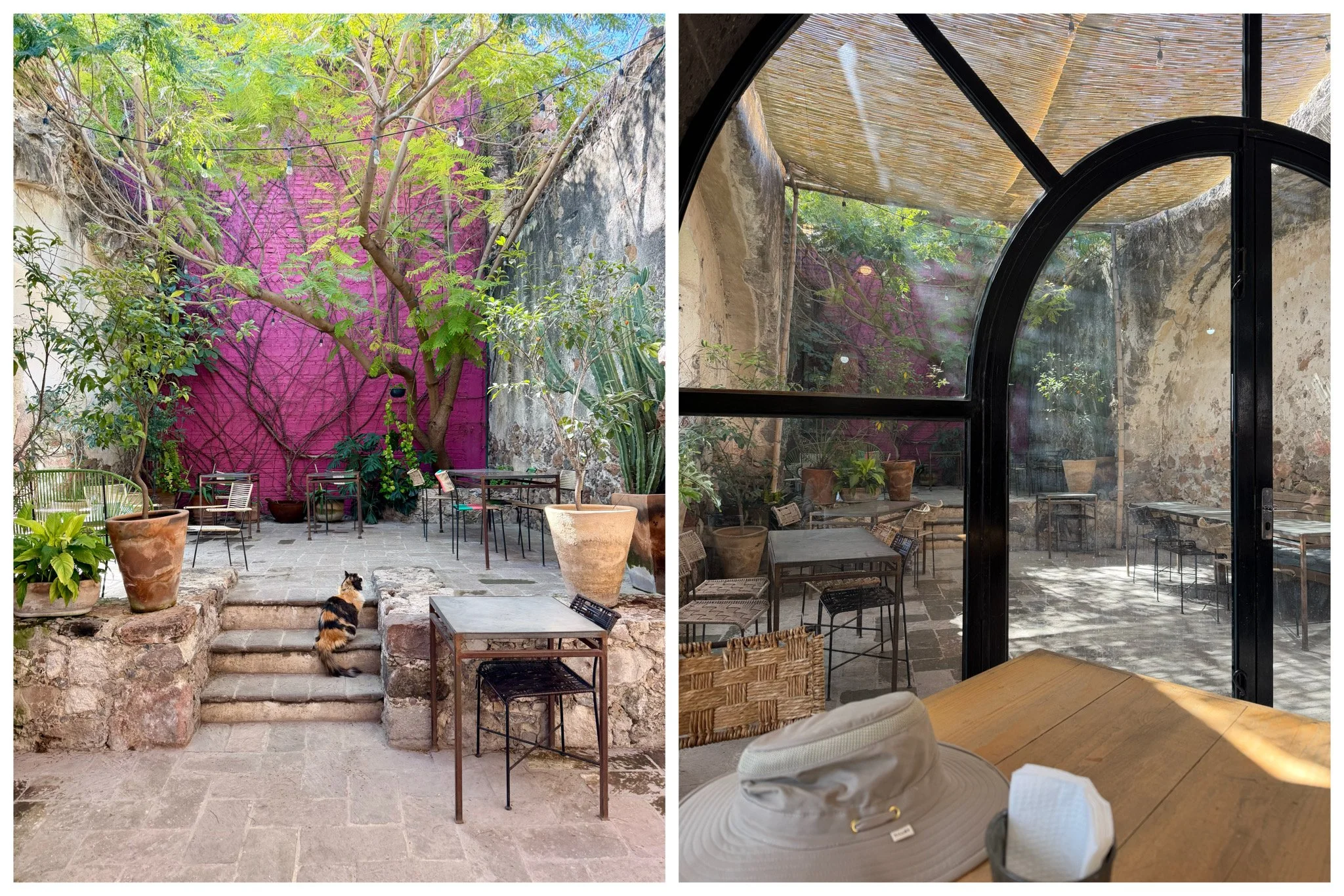 Garambullo Fonda Gourmet