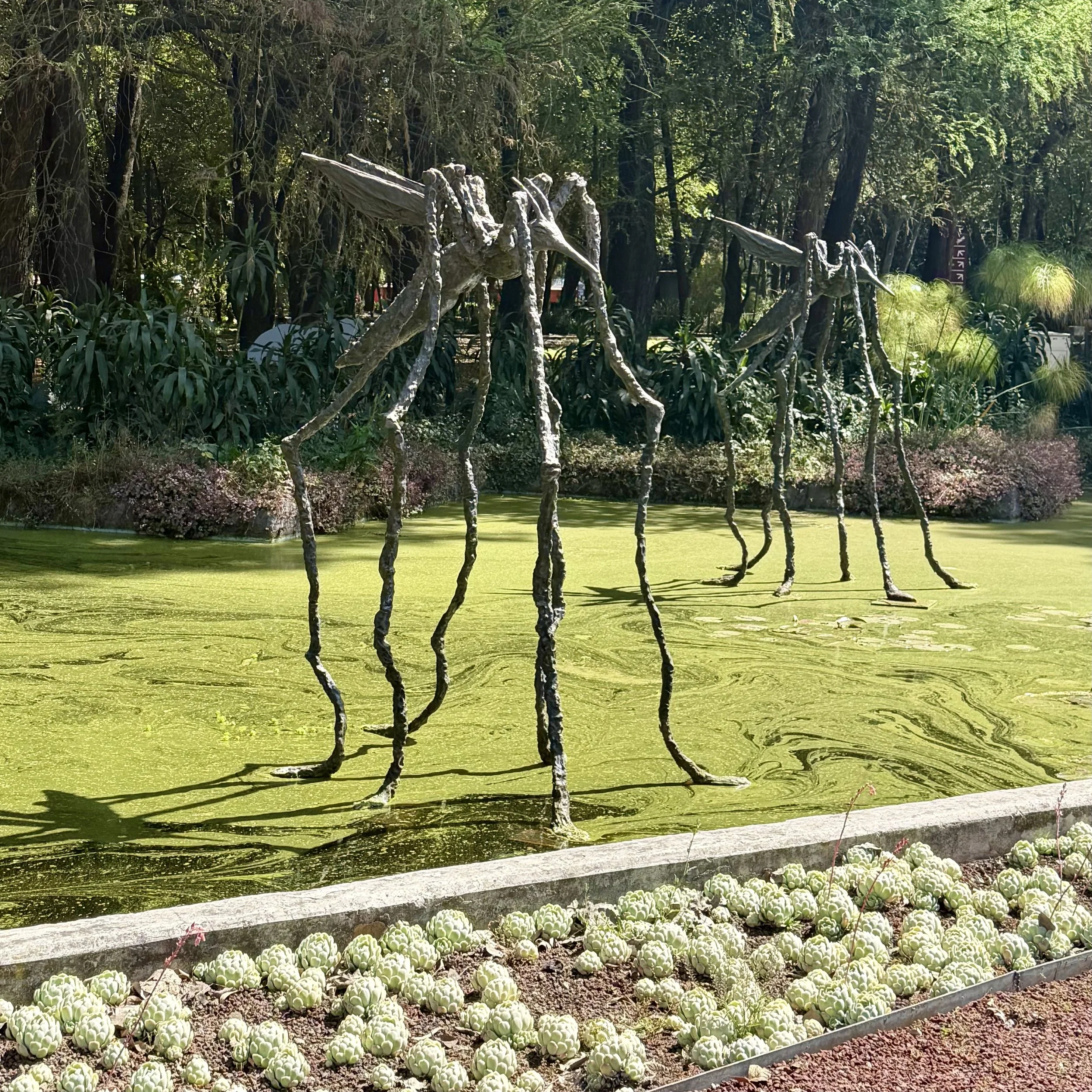 El Lago de las Tipples