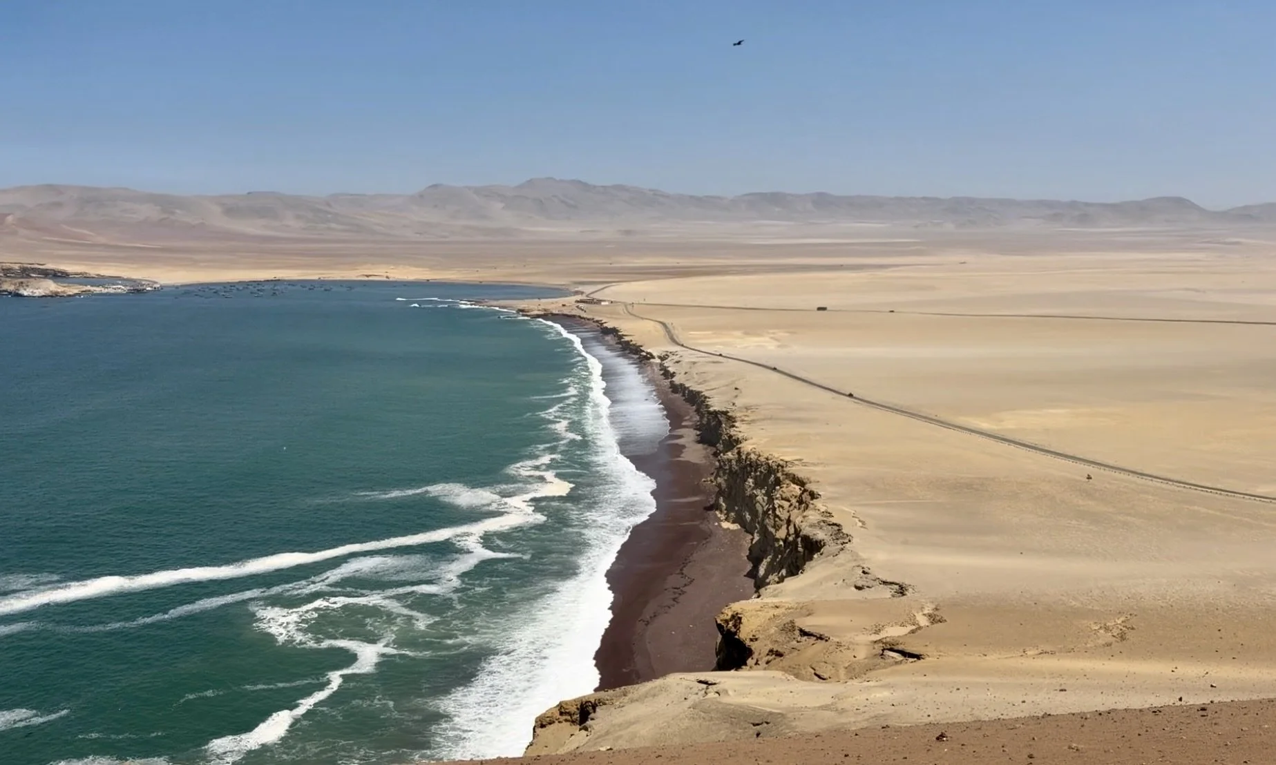 Image 3-28-26 at 1.41 PM.jpeg