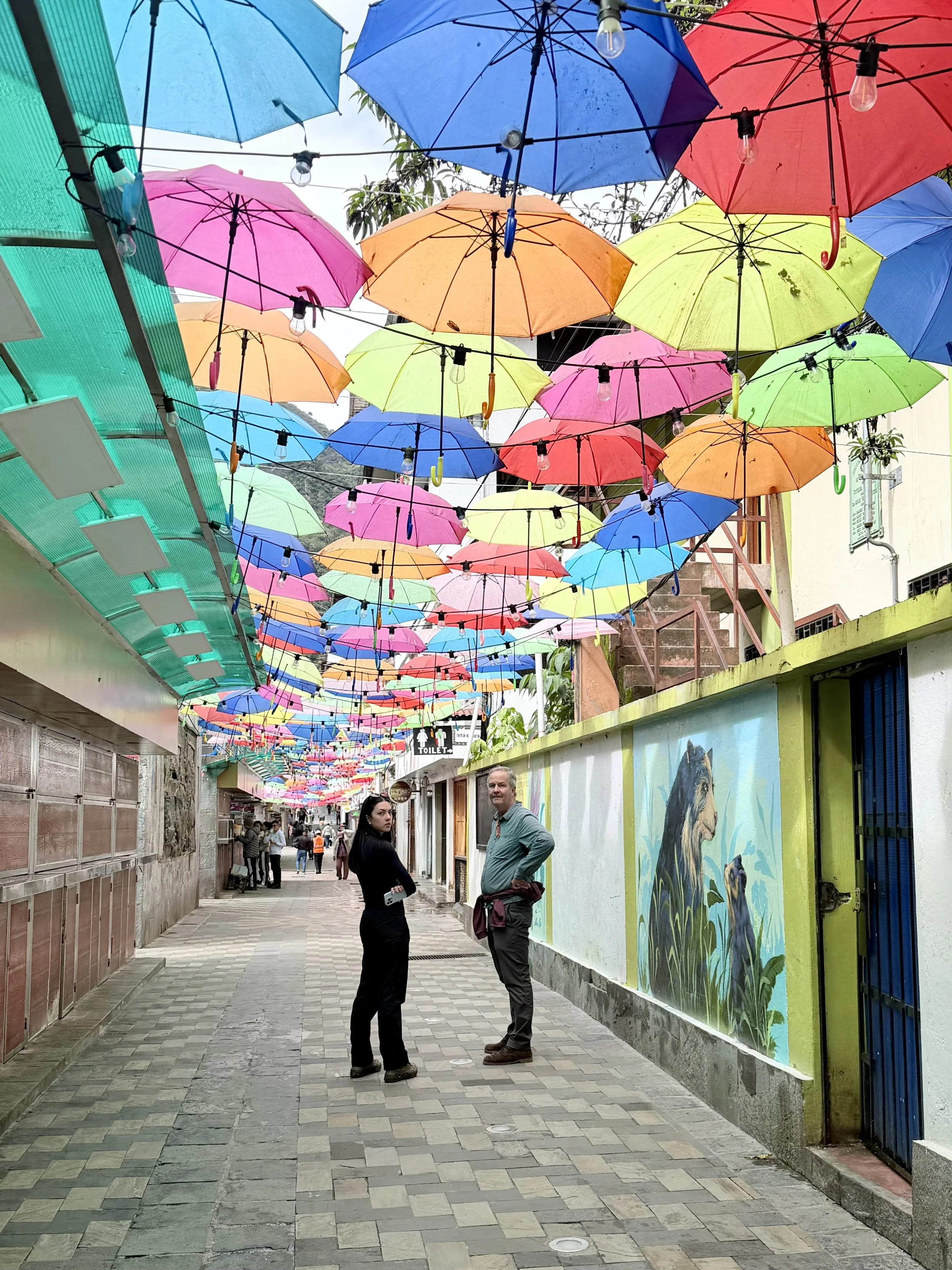 Path to residential neighborhood