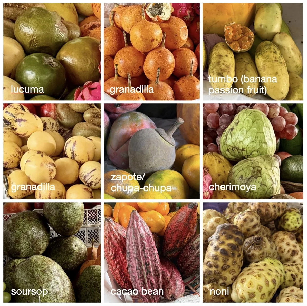 Image 4-27-26 at 3.19 PM.jpeg