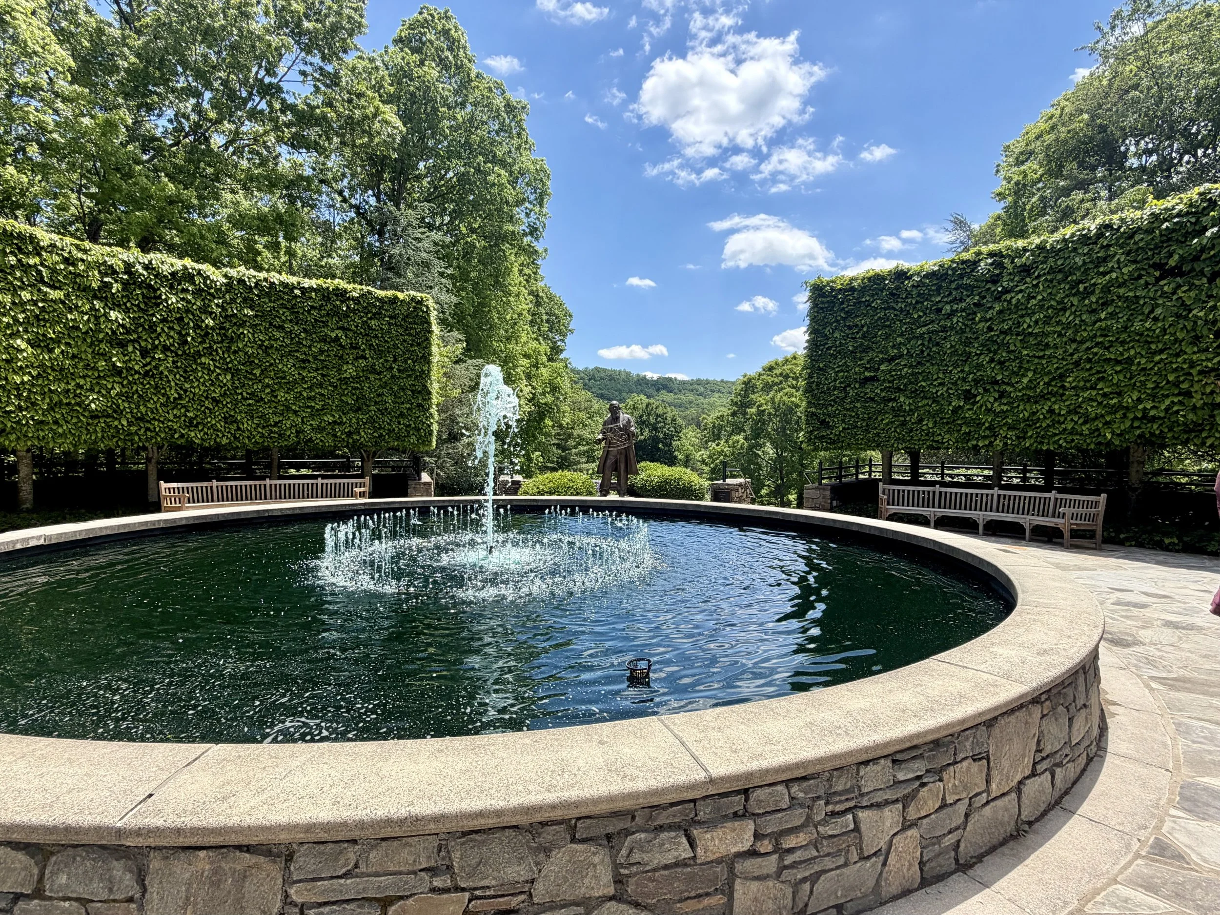 Blue Ridge Court